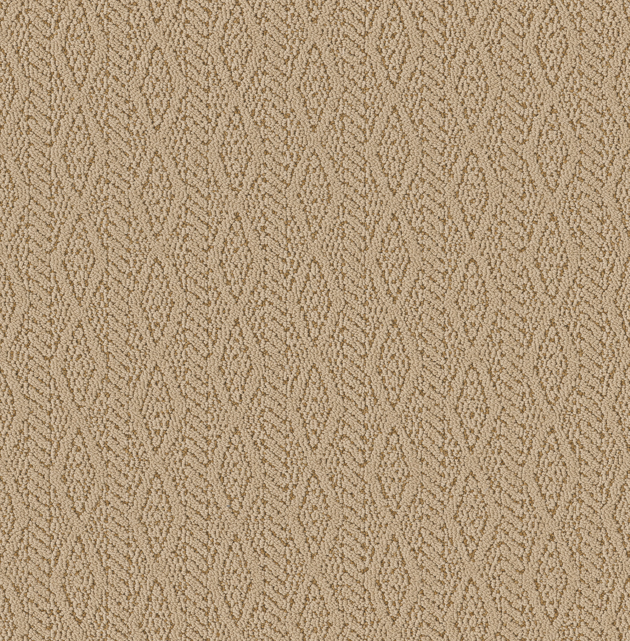 Brocade-Ginger Tea-ZB352_00110