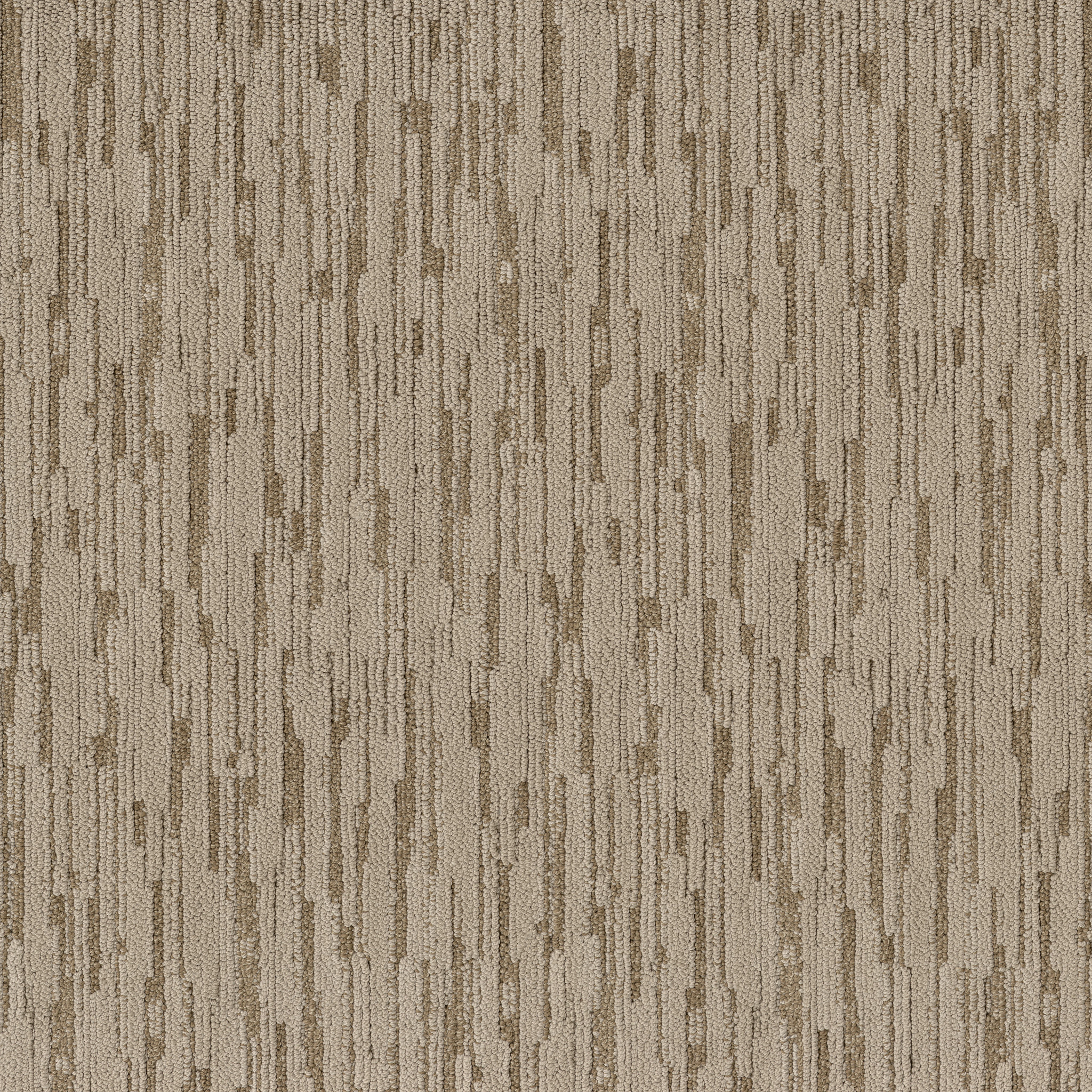 Becoming-Windswept Leaves-ZB353_00113