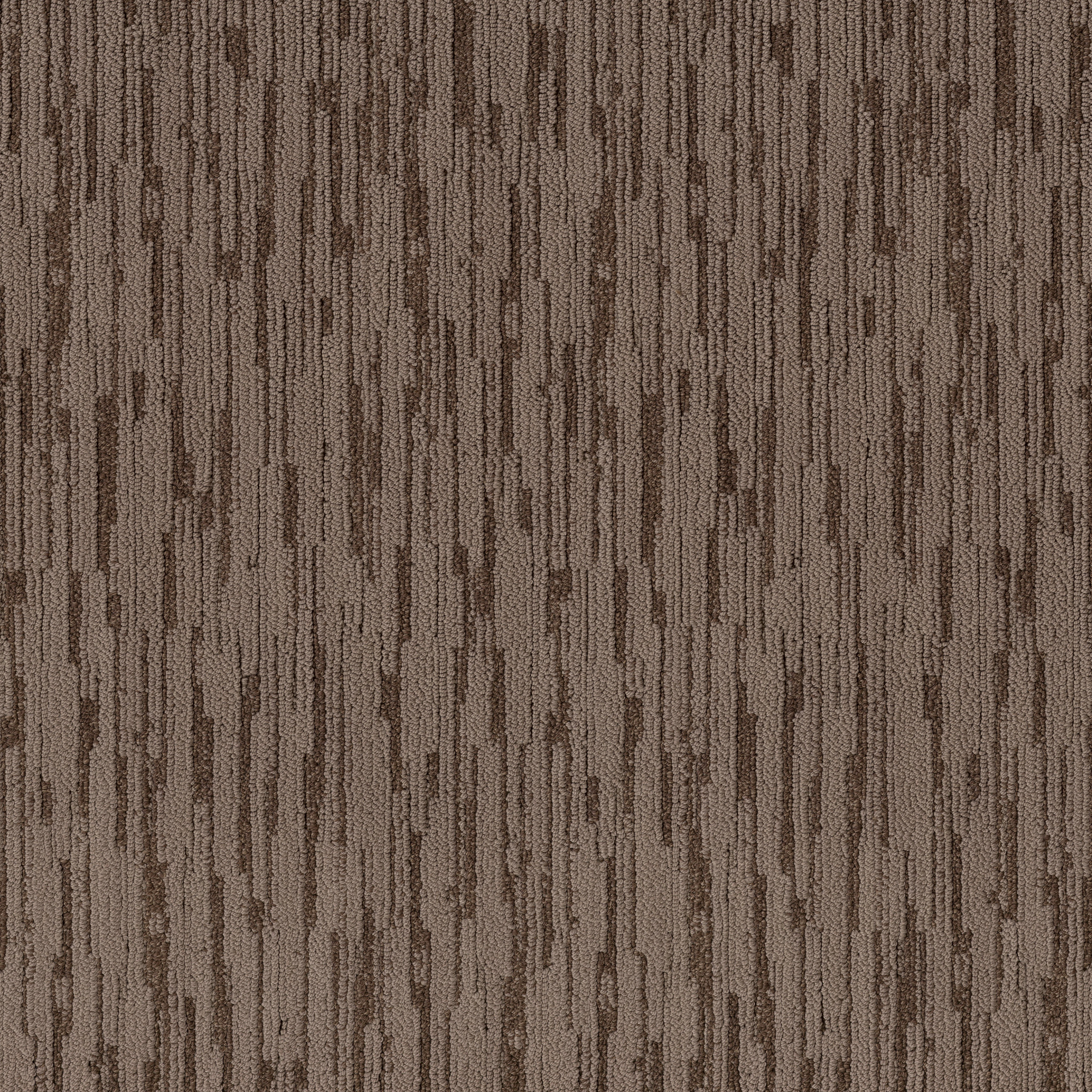 Becoming-Wild Mustang-ZB353_00704