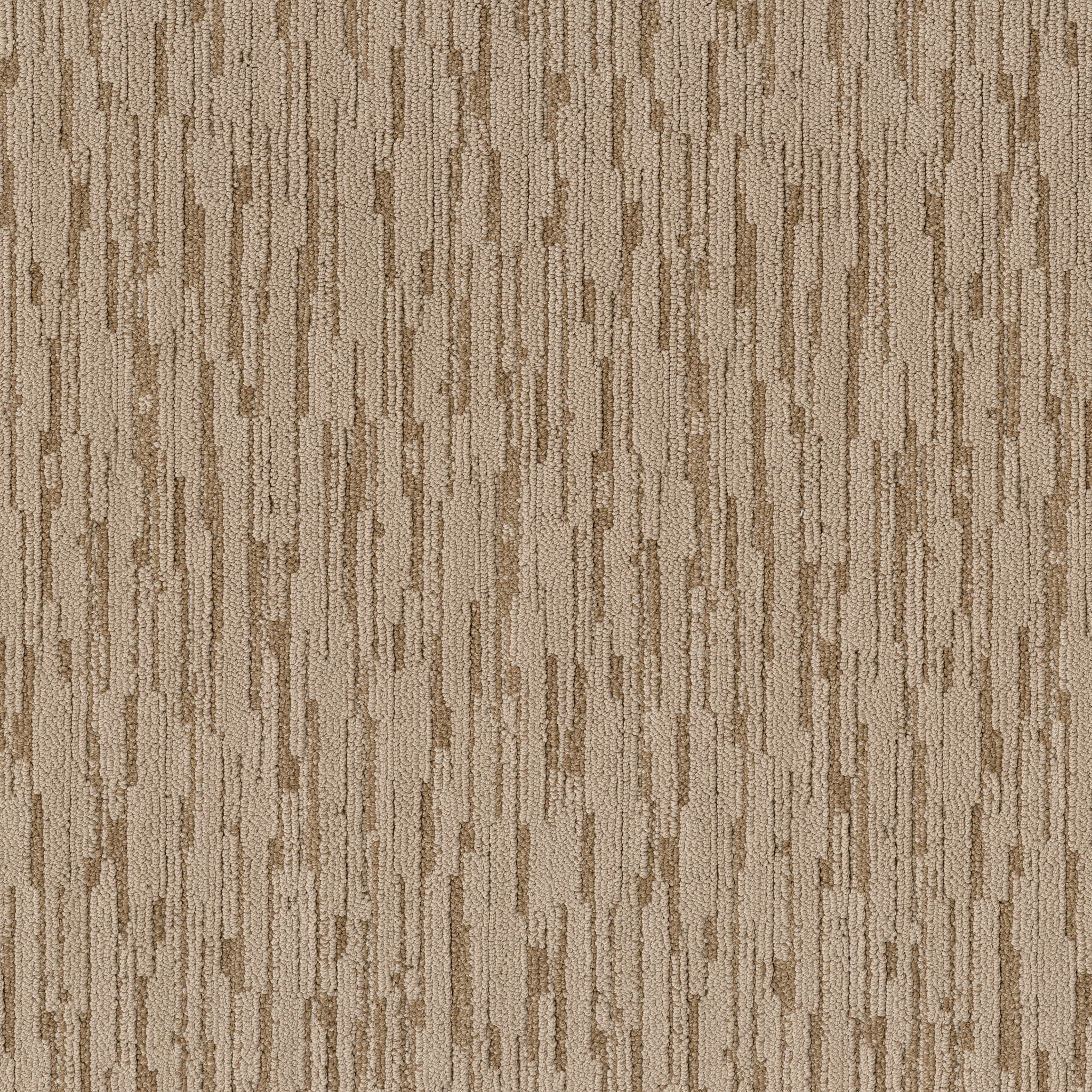 Becoming-Branch-ZB353_00708