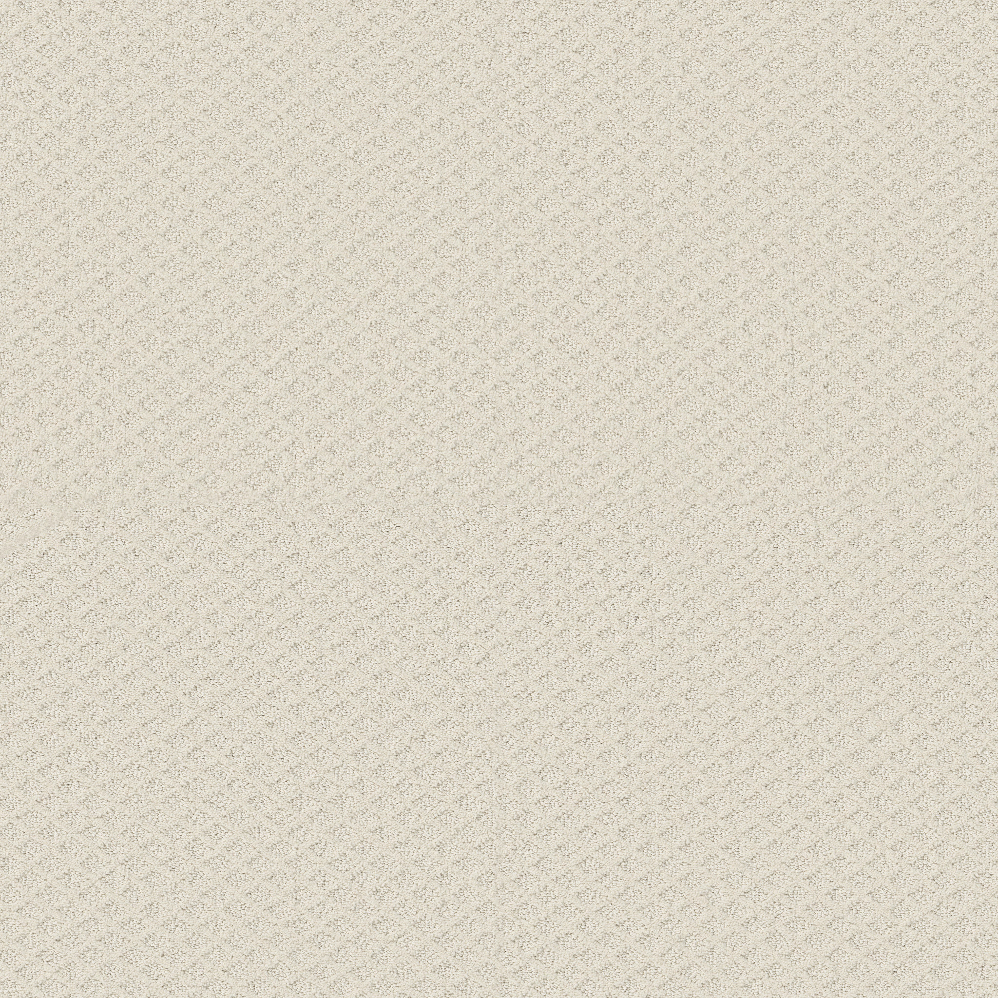 Crisp Linen