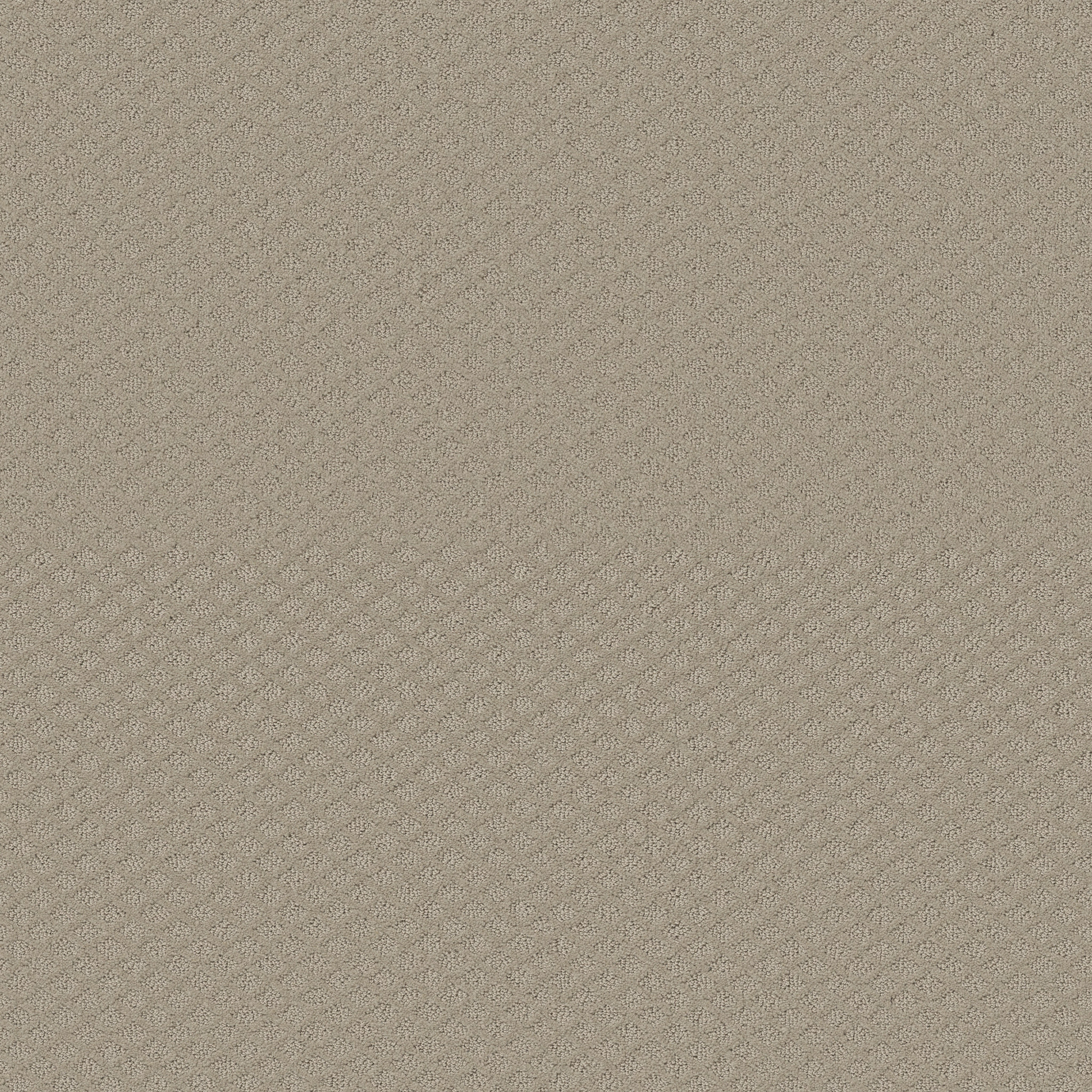 Studio Taupe