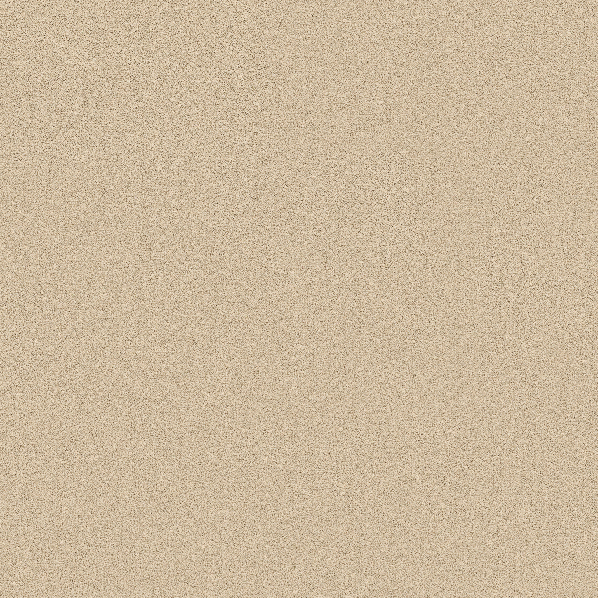 Plaster