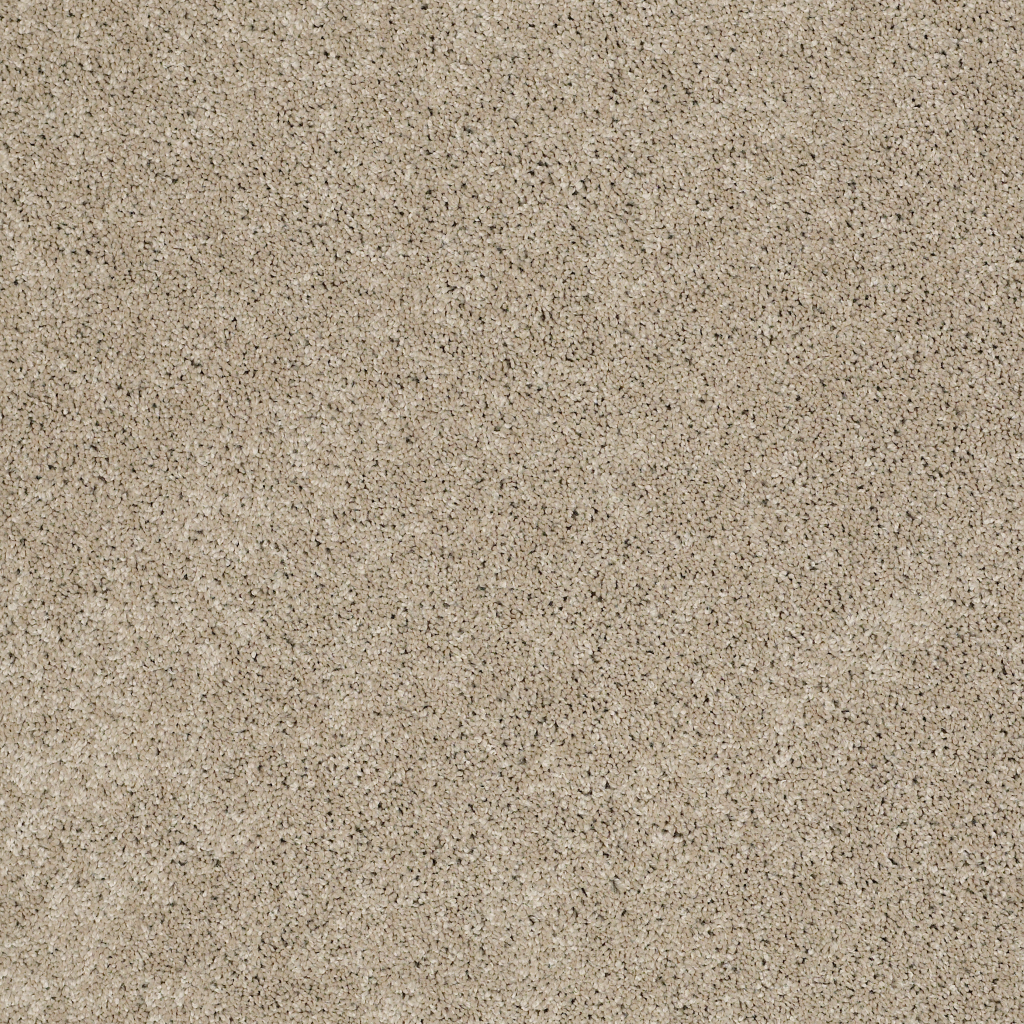 Khaki Tan