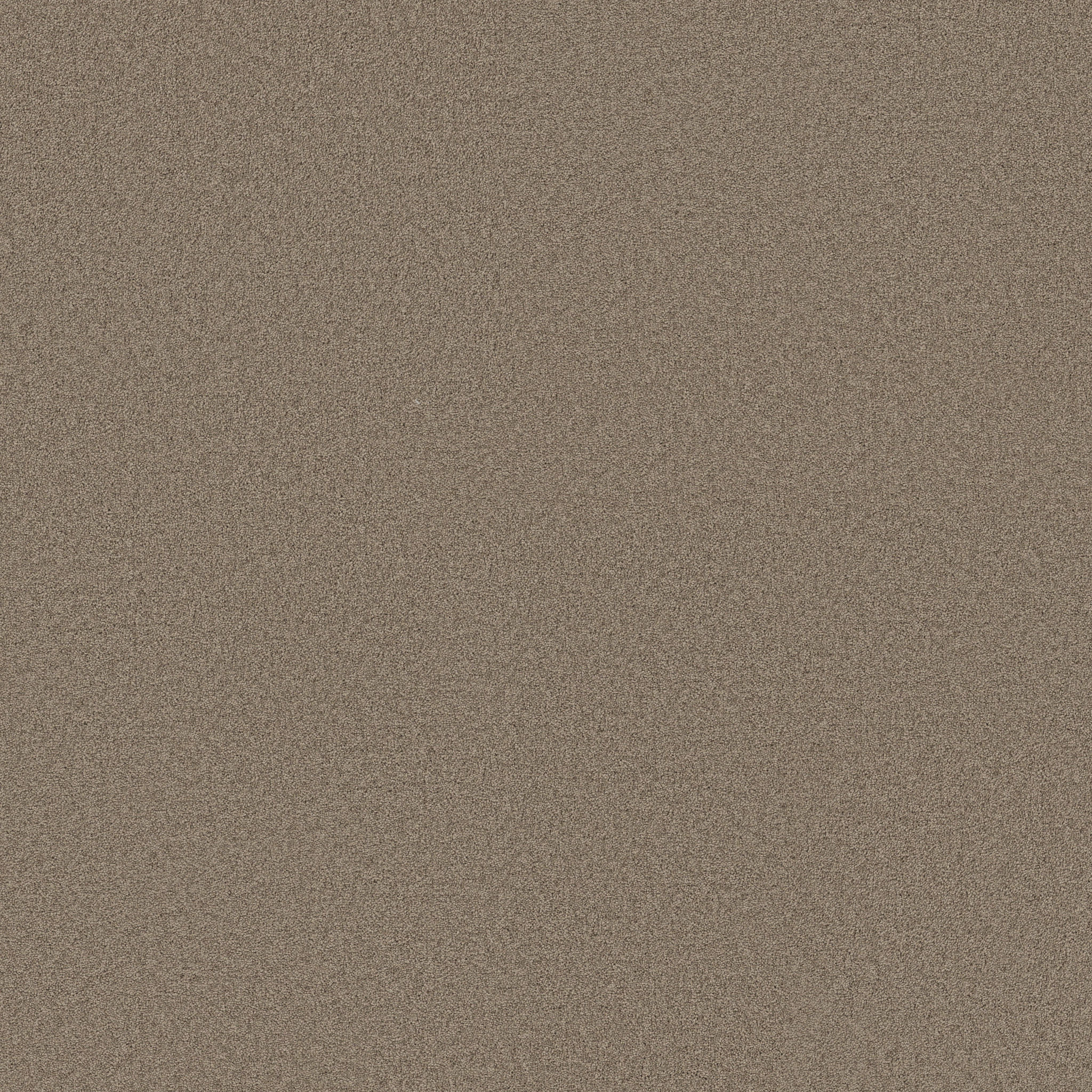 Barn Wood