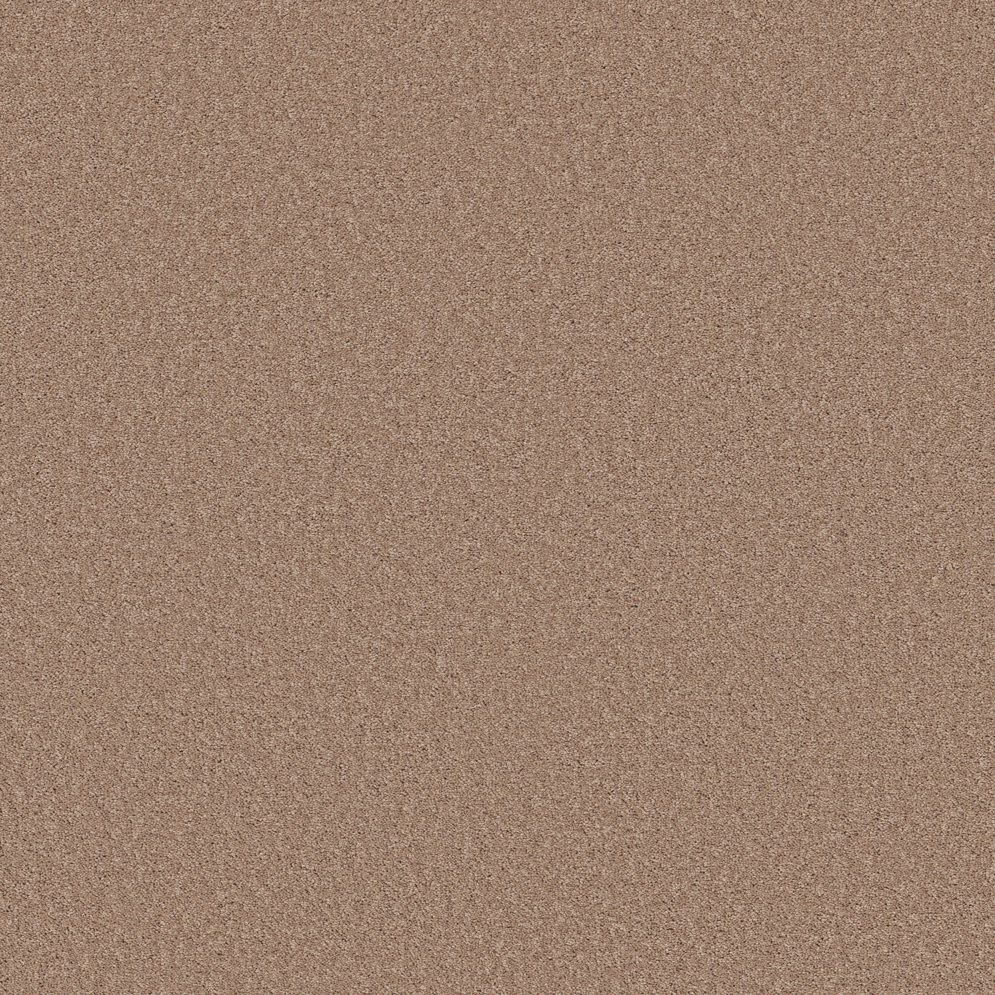 Copper Moon