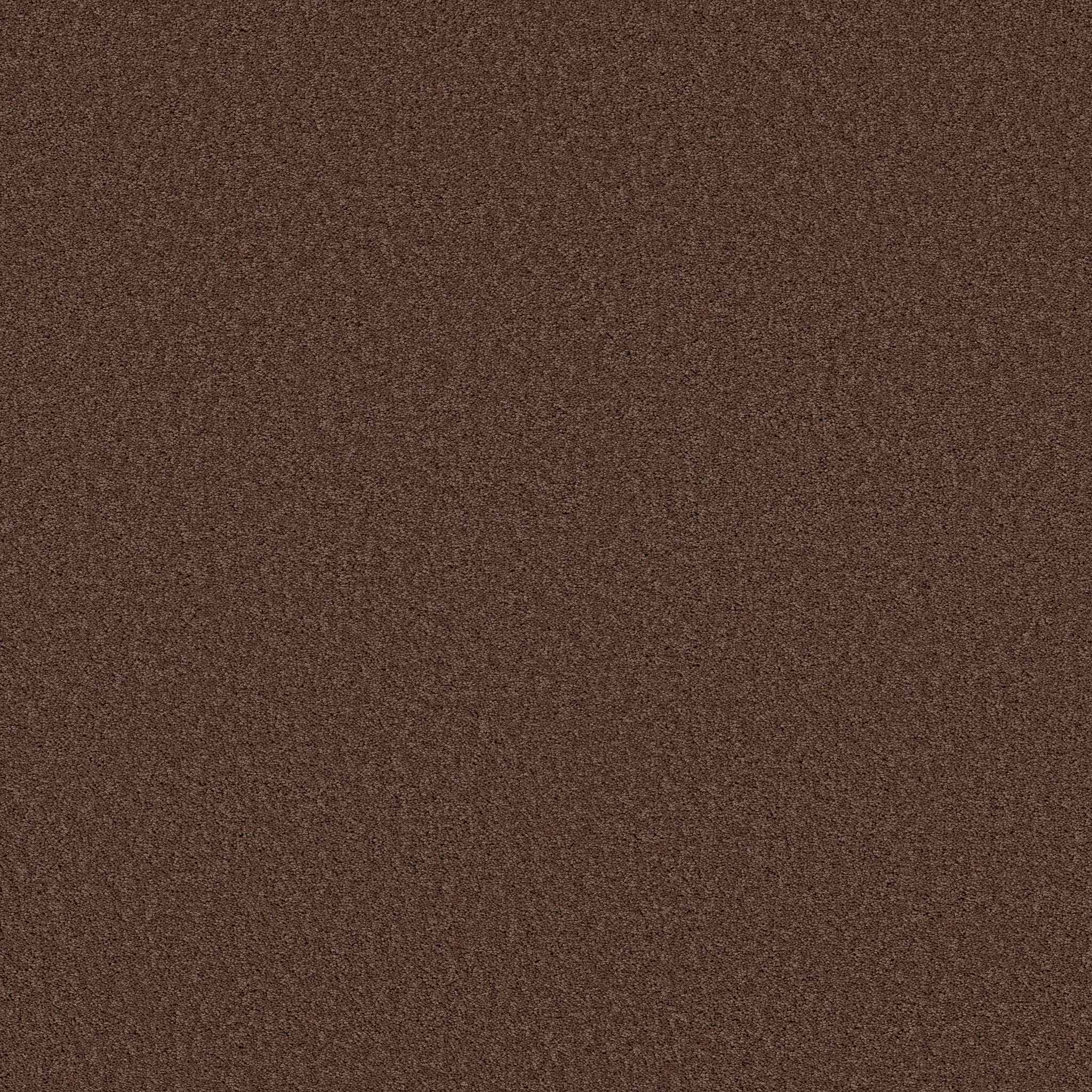 Wood Grain