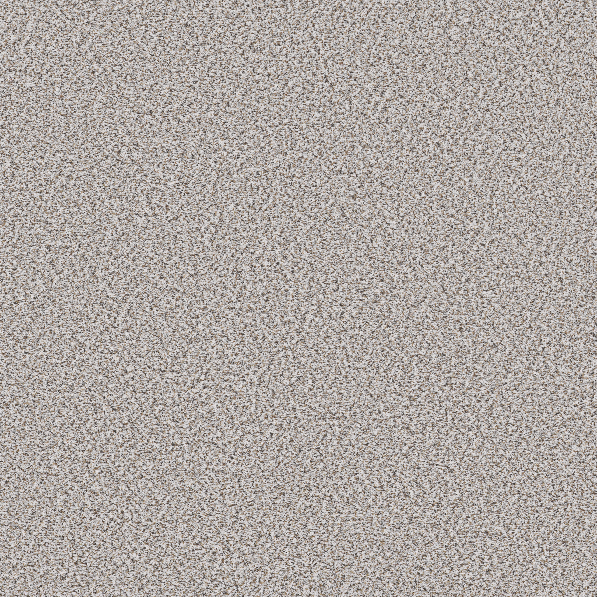 Whitewash