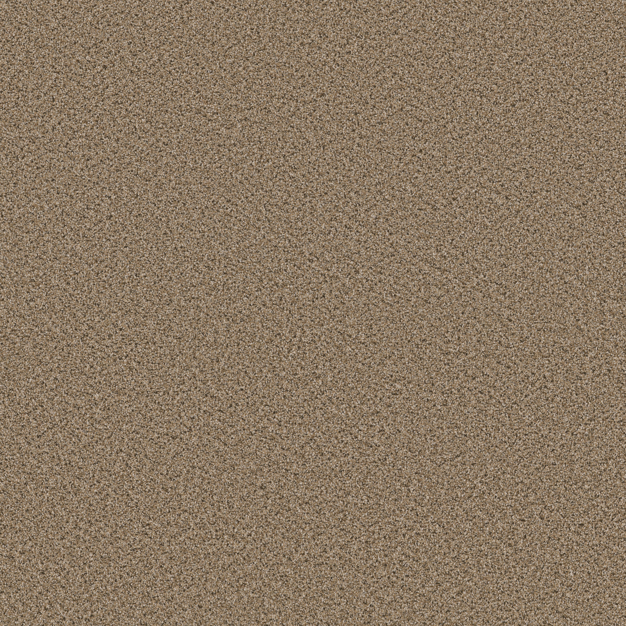 Bridle Leather