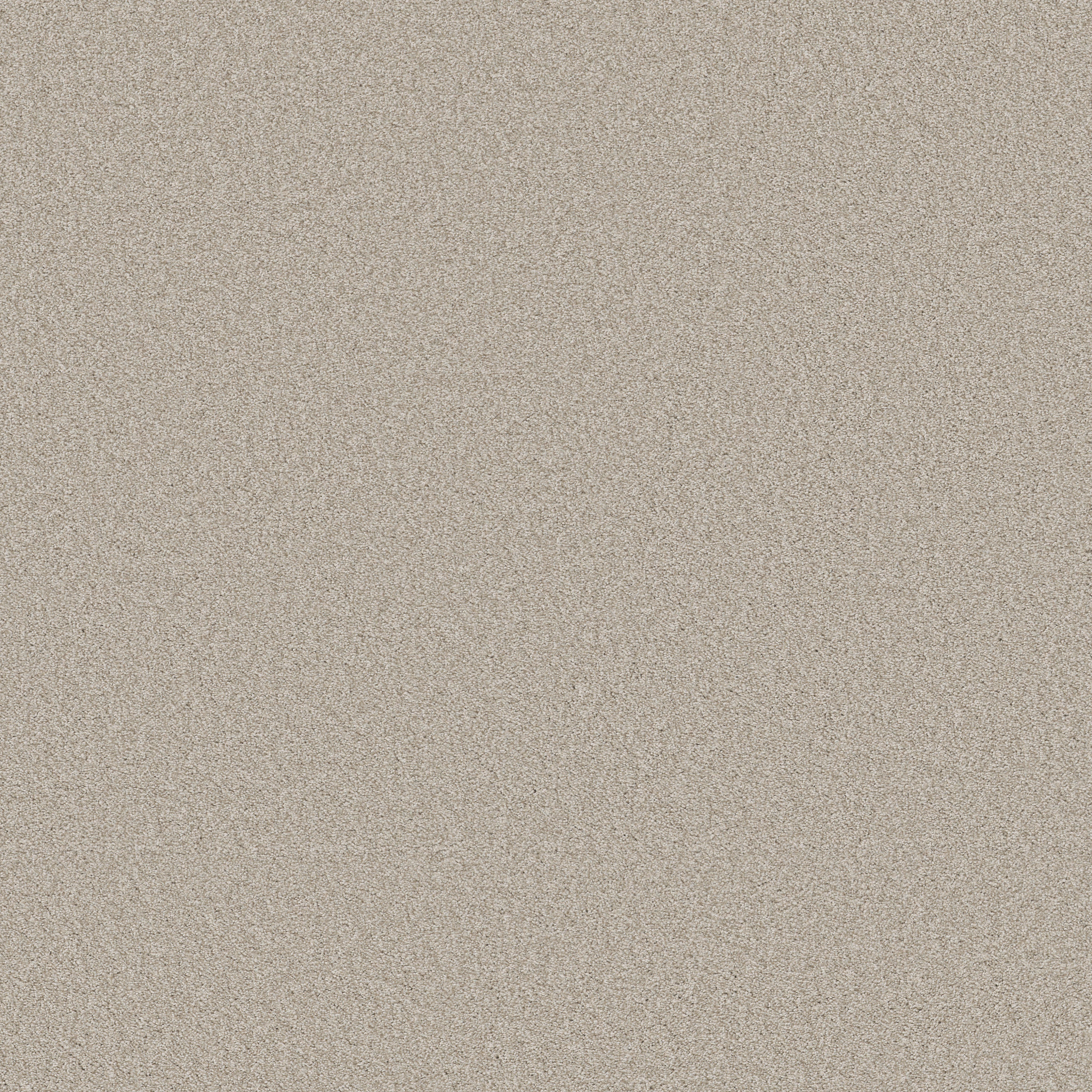 Split Sediment