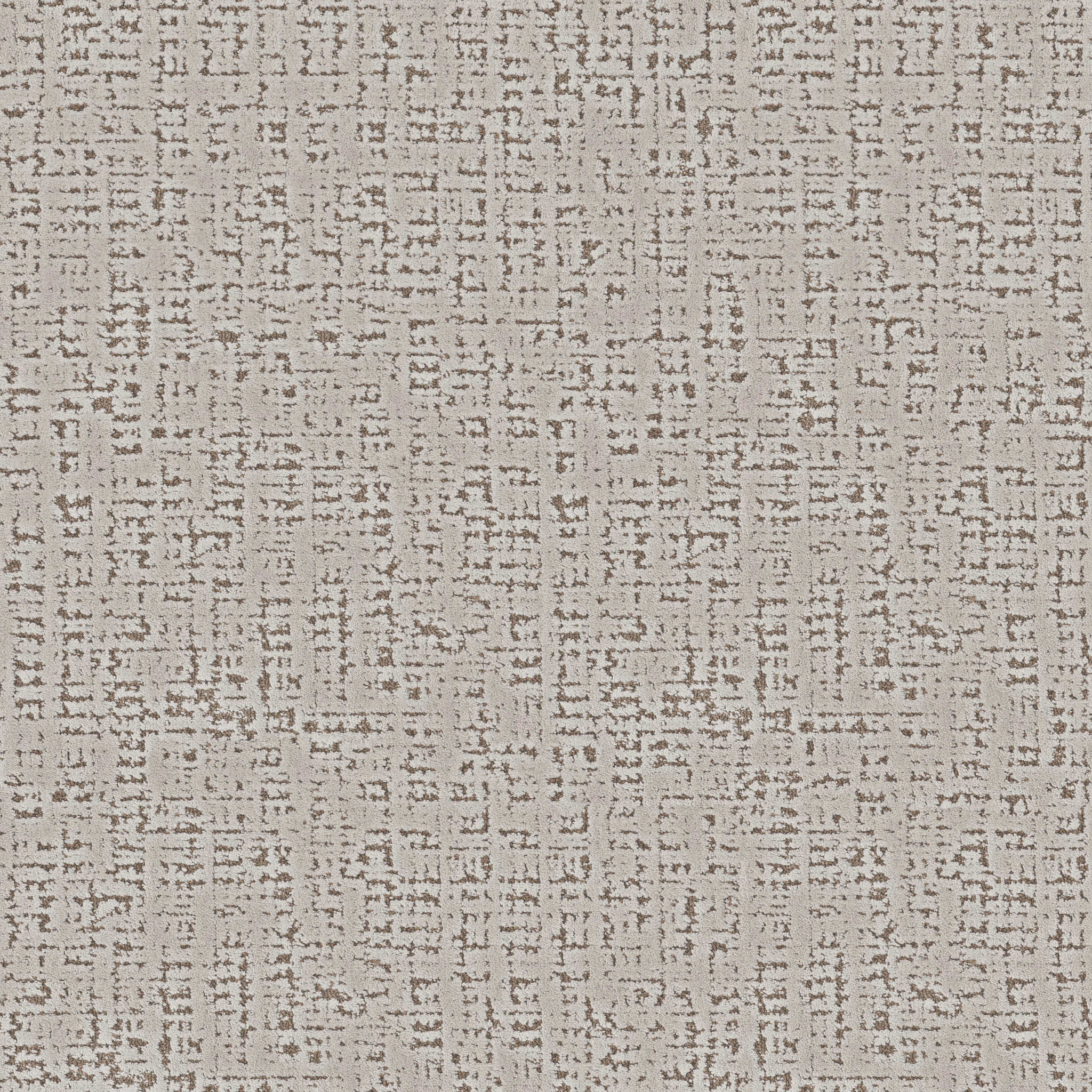 Jazz-Silver Fox-ZB373_00501