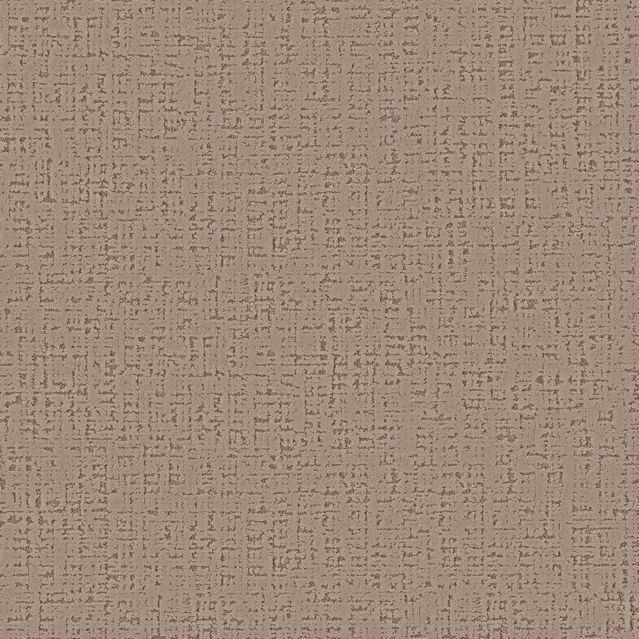 Jazz-Night Cap-ZB373_00700