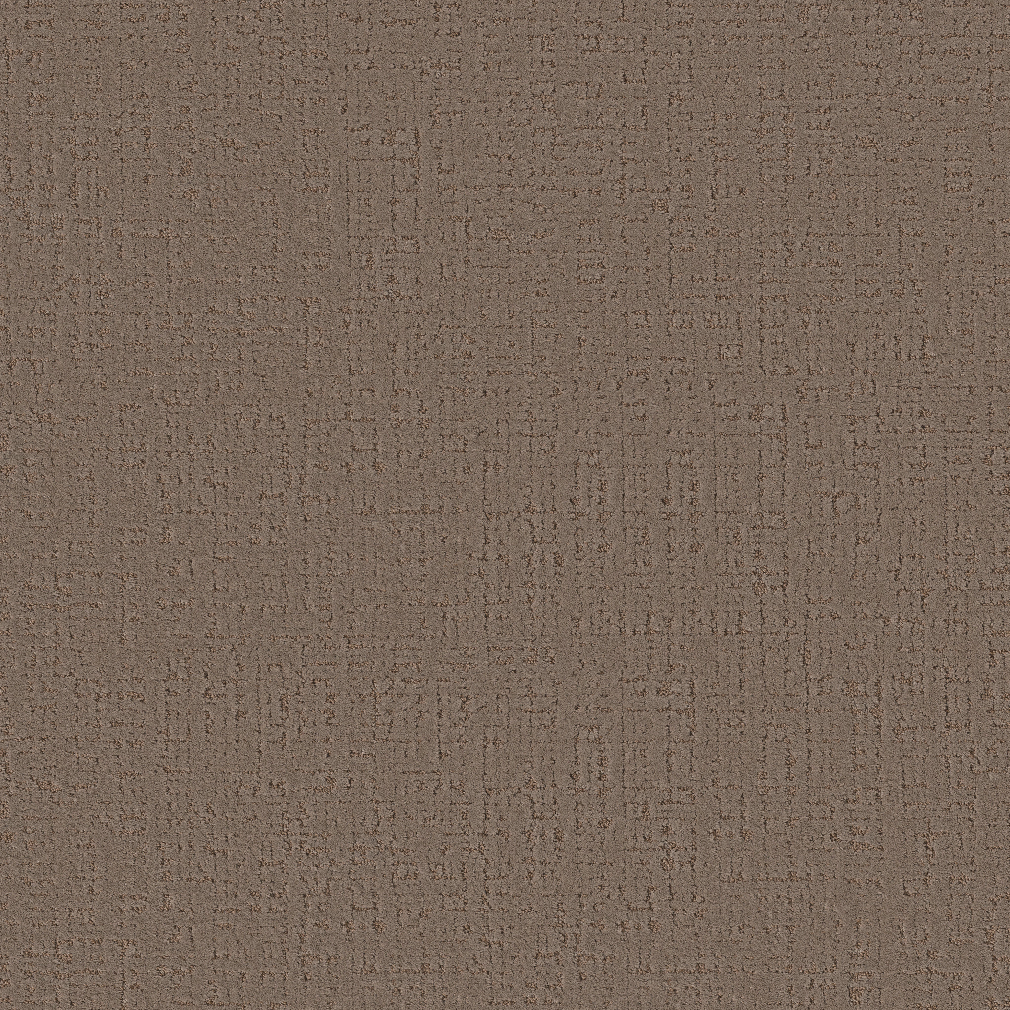 Jazz-Meet And Greet-ZB373_00701