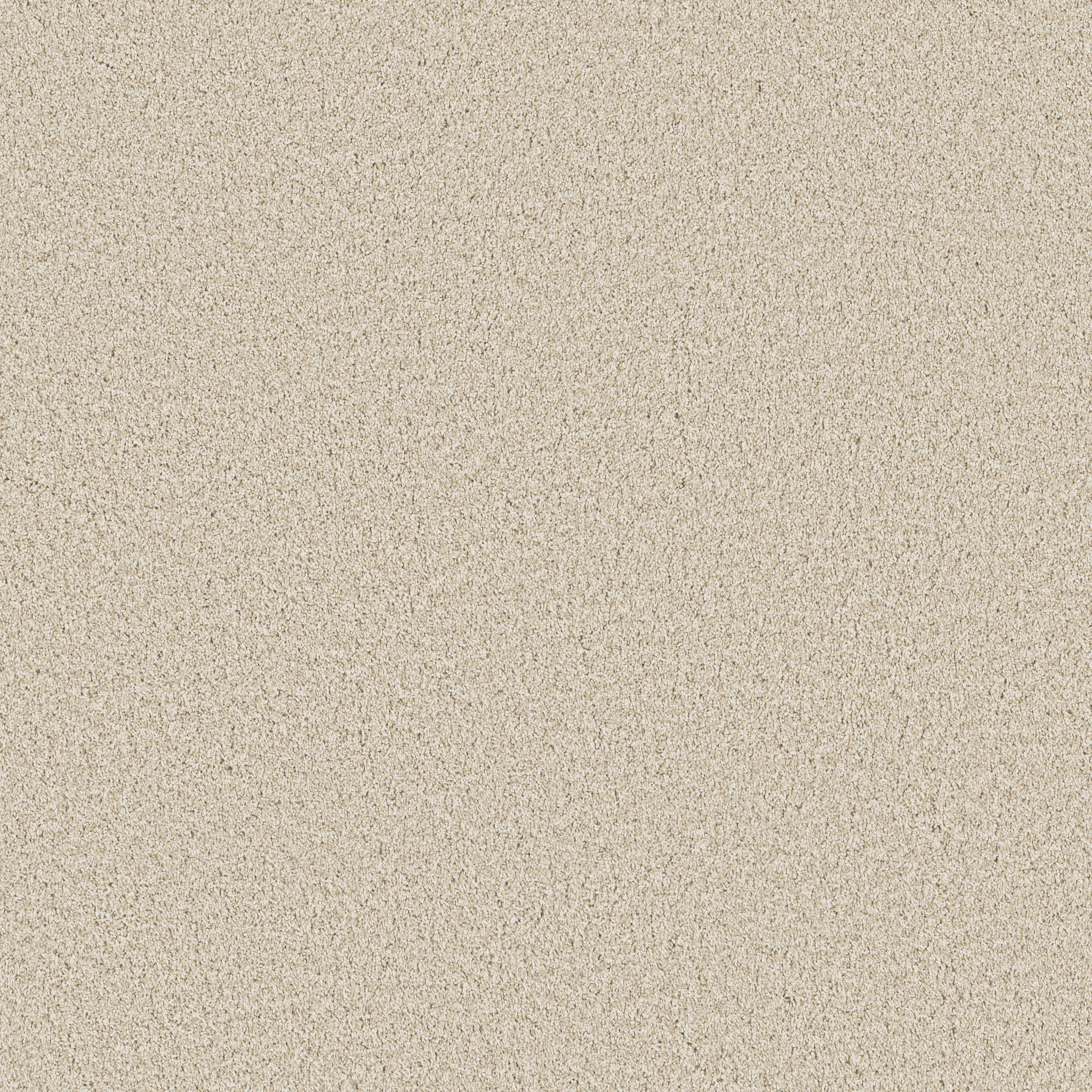 Sorella - Light Breeze - ZB380_00110