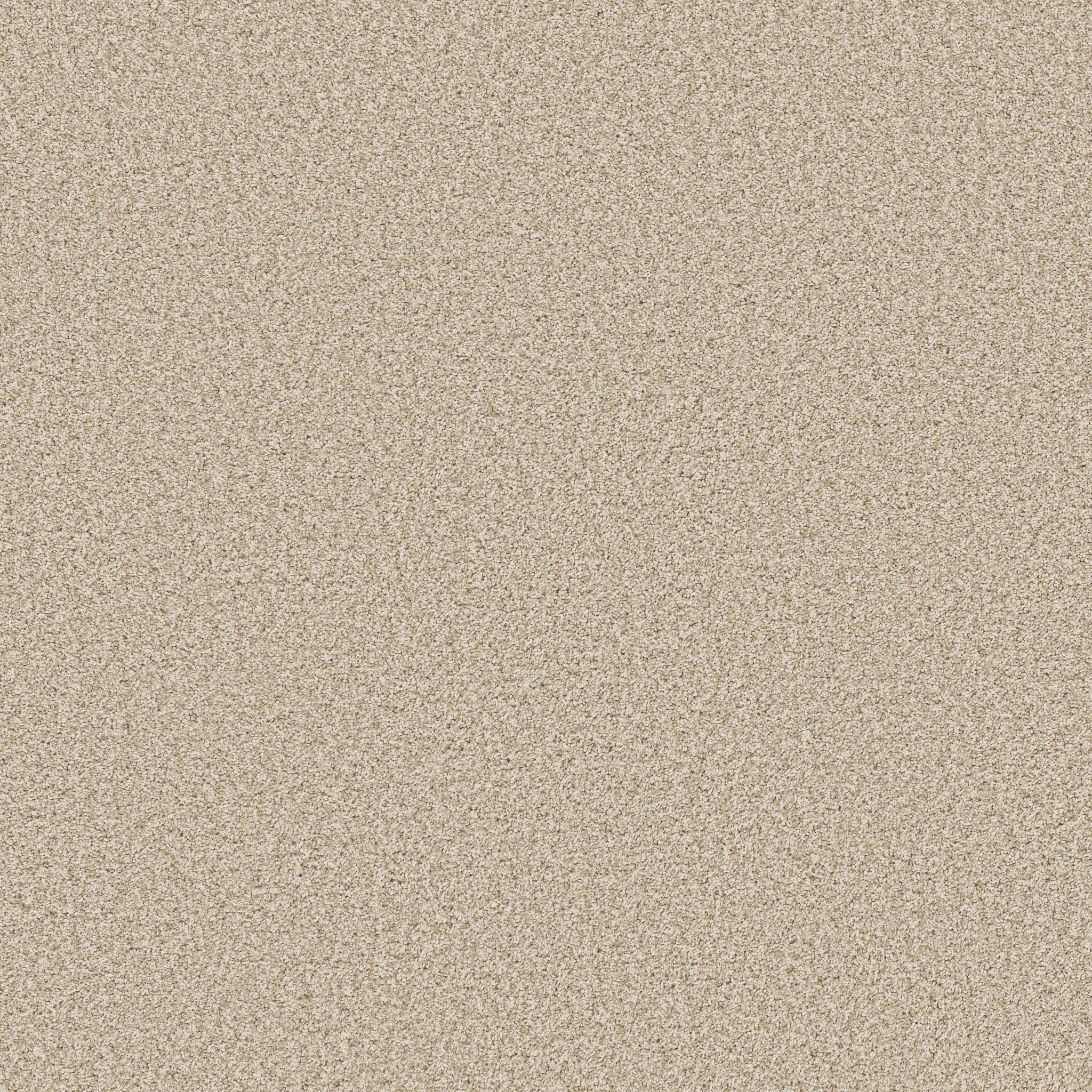 Sorella-Soft Linen-ZB380_00120