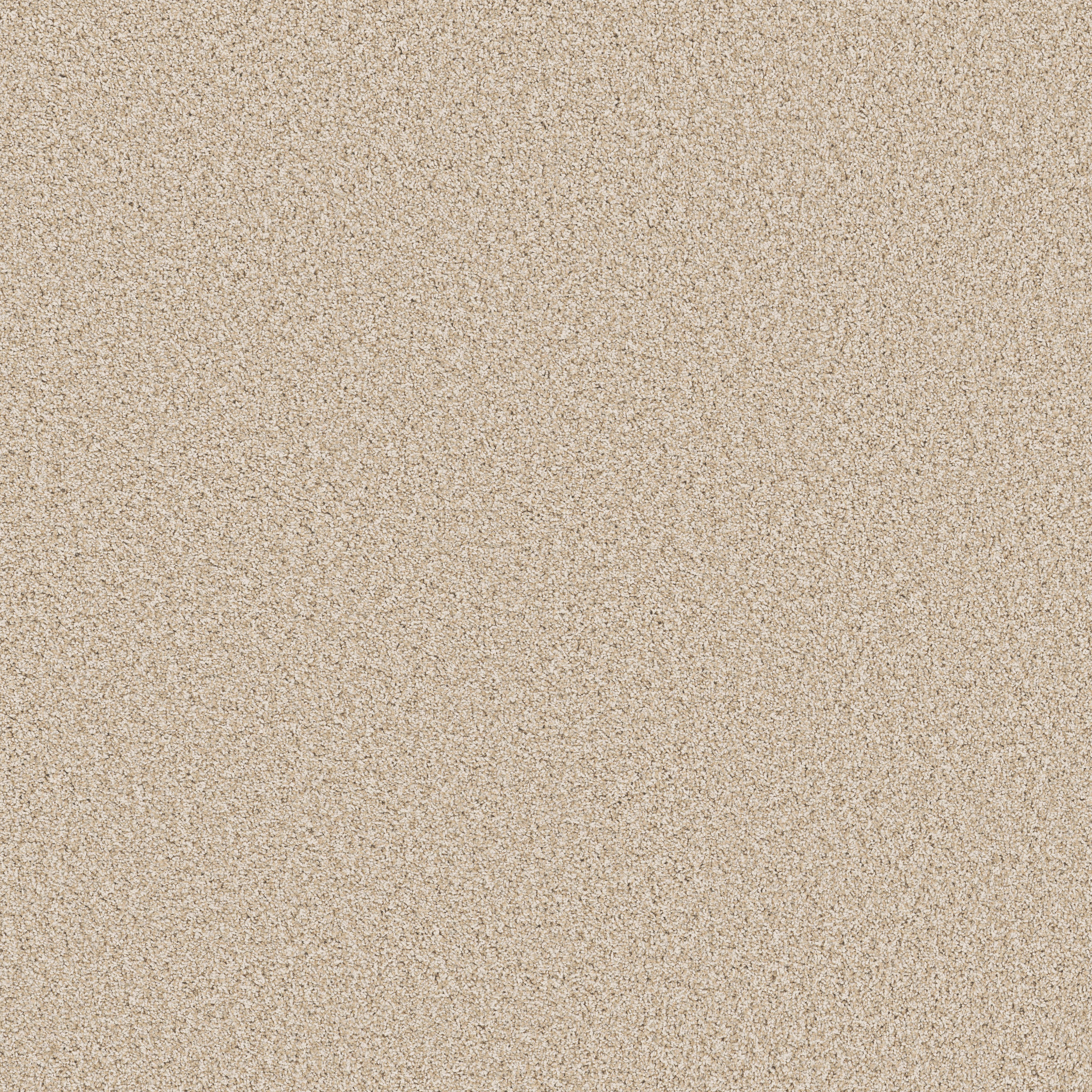 Sorella-Salt Air-ZB380_00130