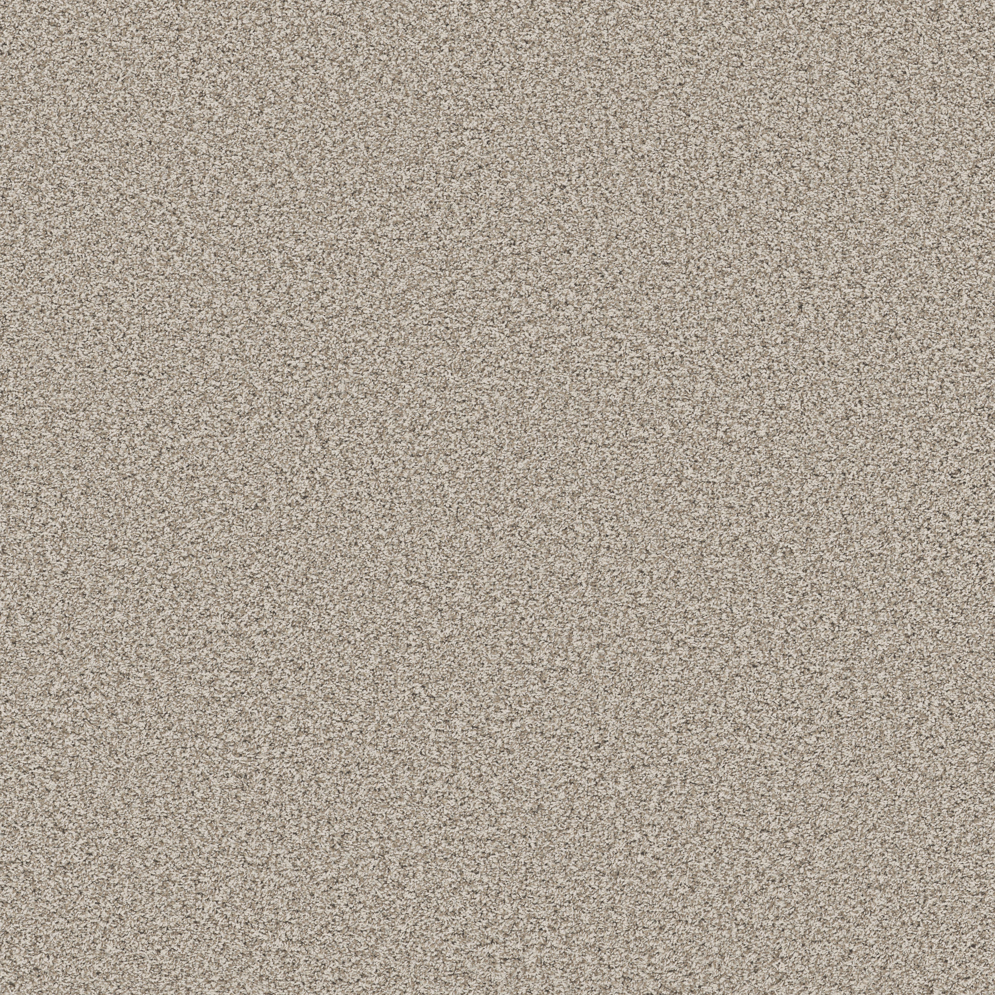 Sorella-Misty Dawn-ZB380_00151