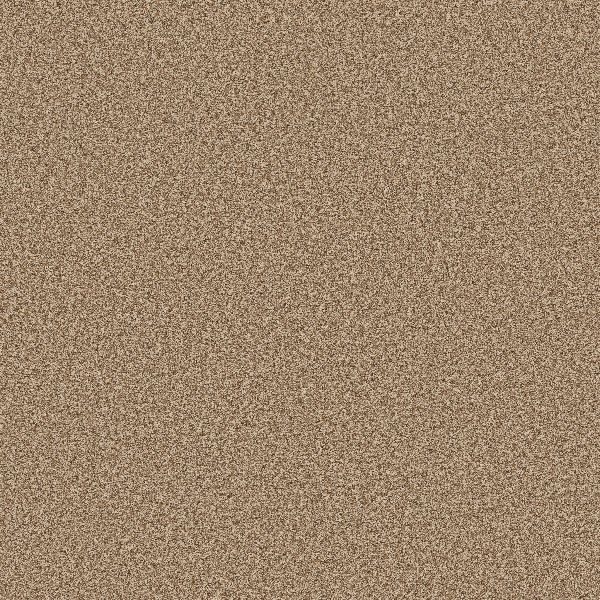 Sorella-Savannah-ZB380_00230