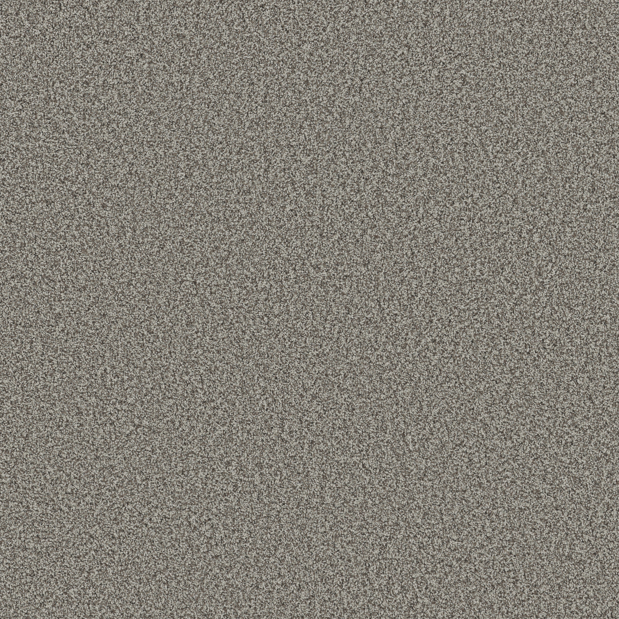 Sorella-Chelsea Fog-ZB380_00544