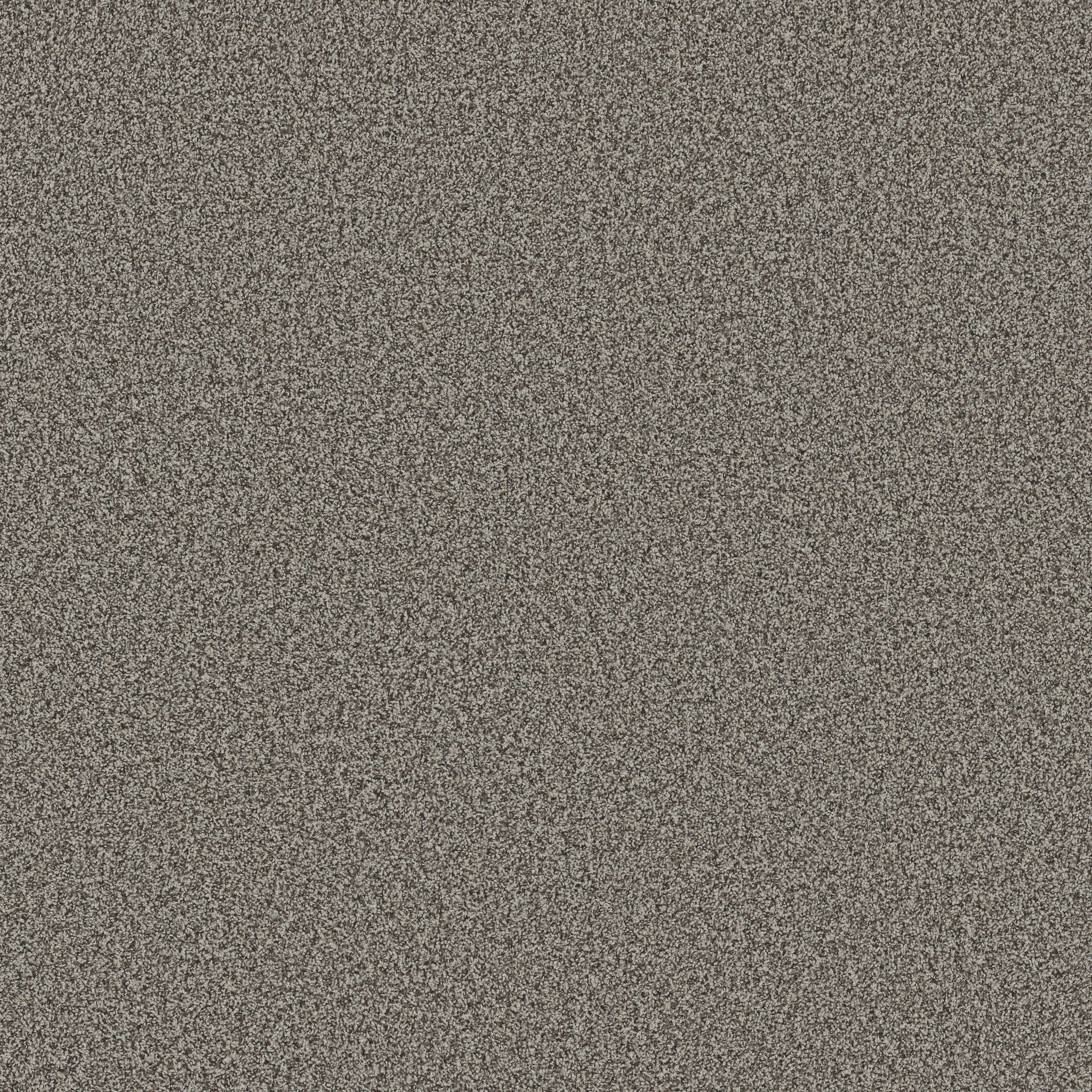 Sorella-Sable-ZB380_00550