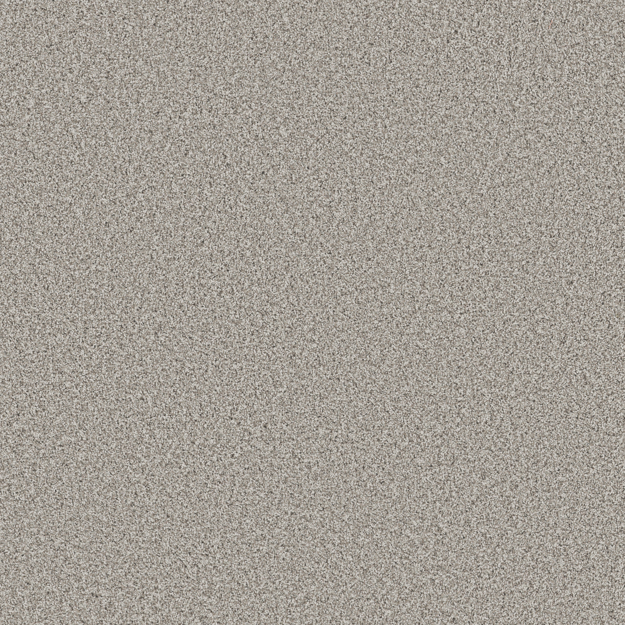 Sorella-Platinum-ZB380_00552