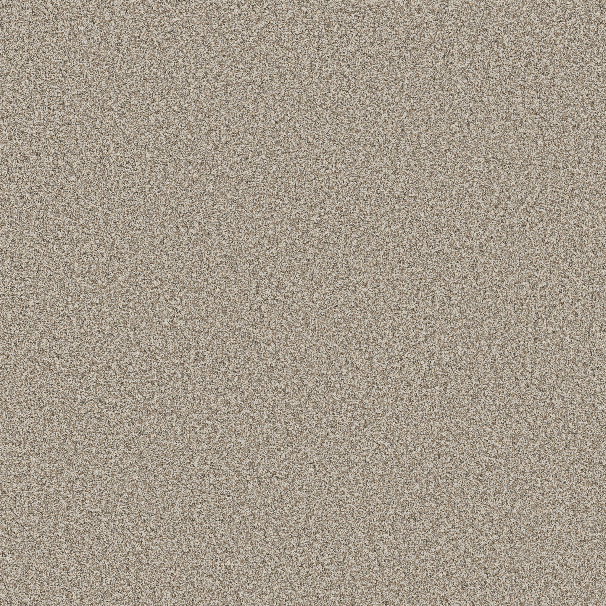 Sorella-Cabana-ZB380_00710