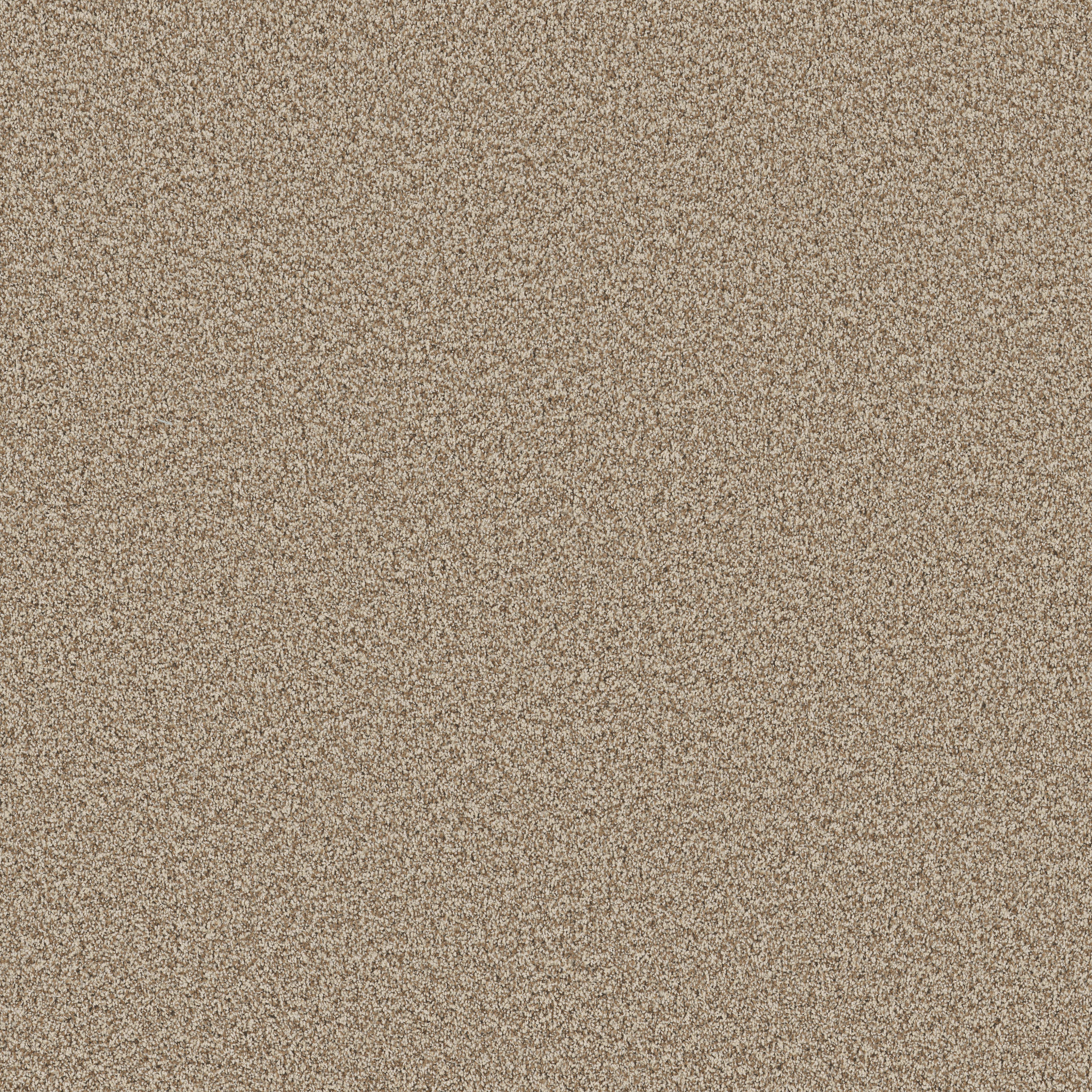 Sorella-Cascade-ZB380_00724