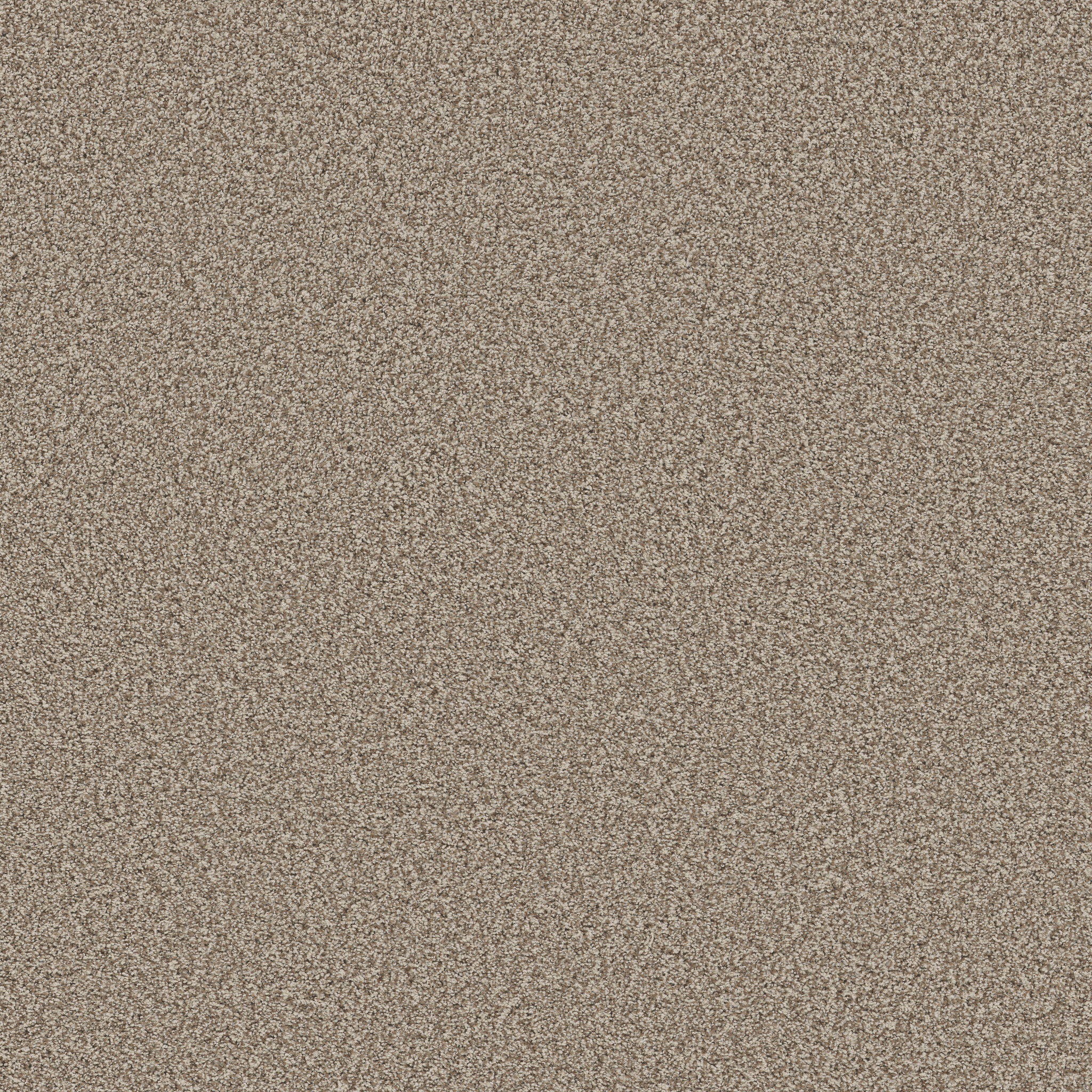 Sorella-Pashmina-ZB380_00754