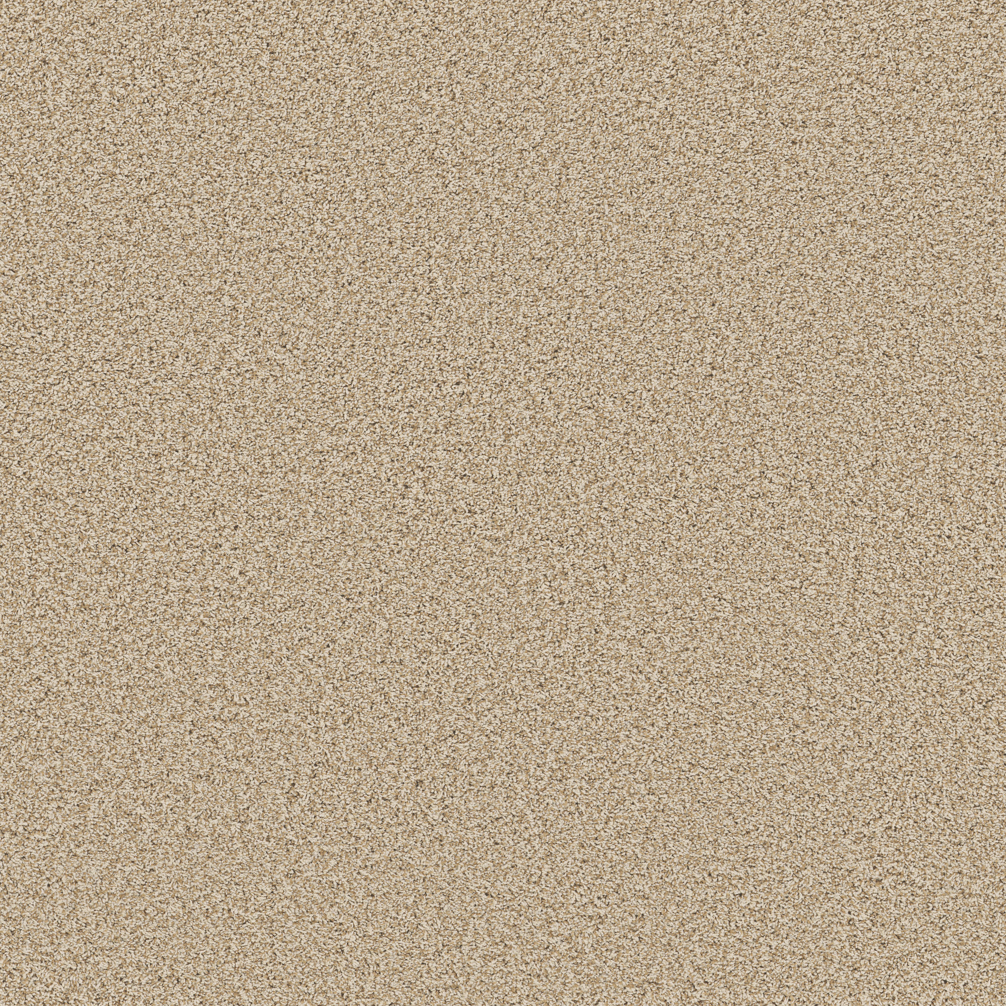 Verdanza-Beach Grass-ZB381_00223