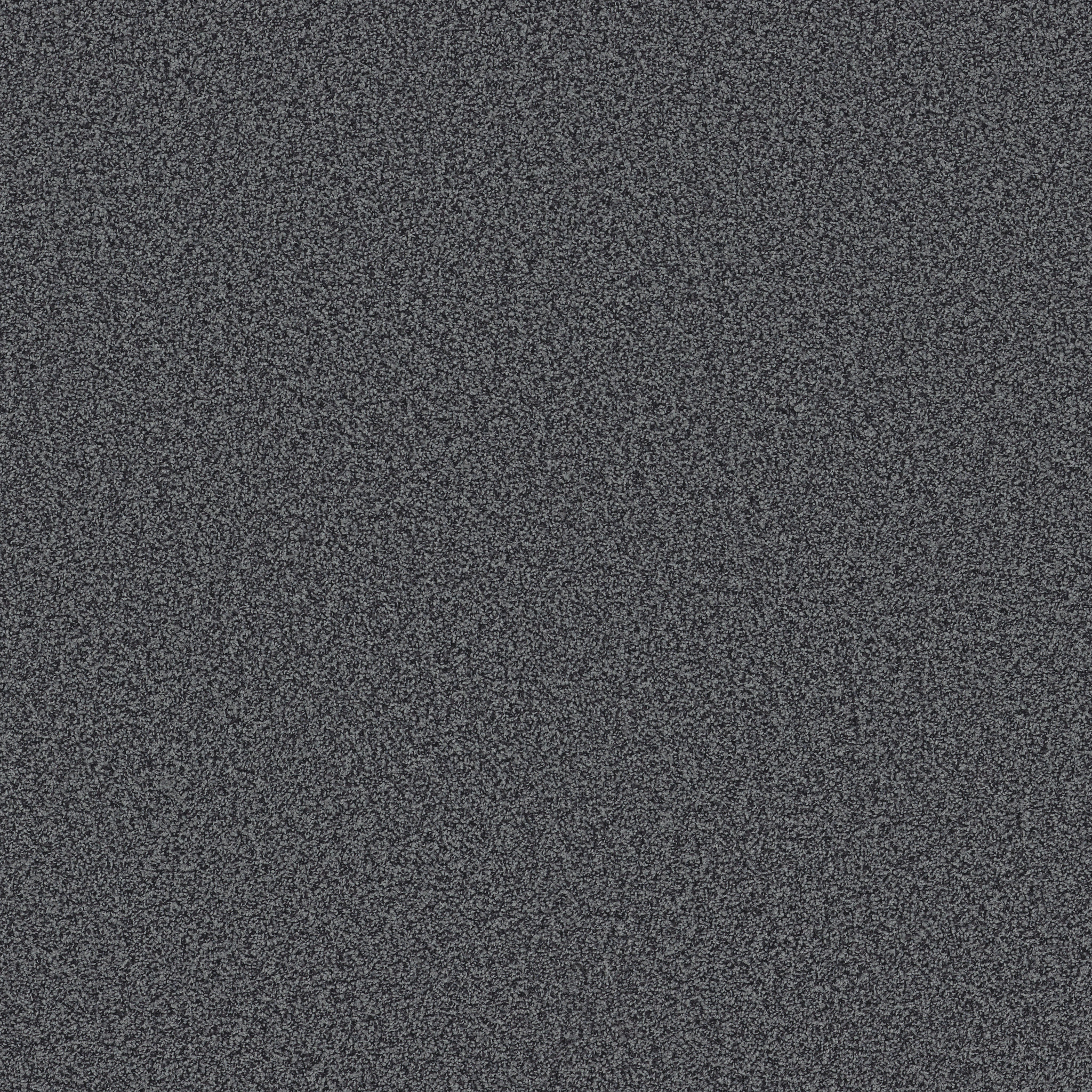 Verdanza-Tailored-ZB381_00470