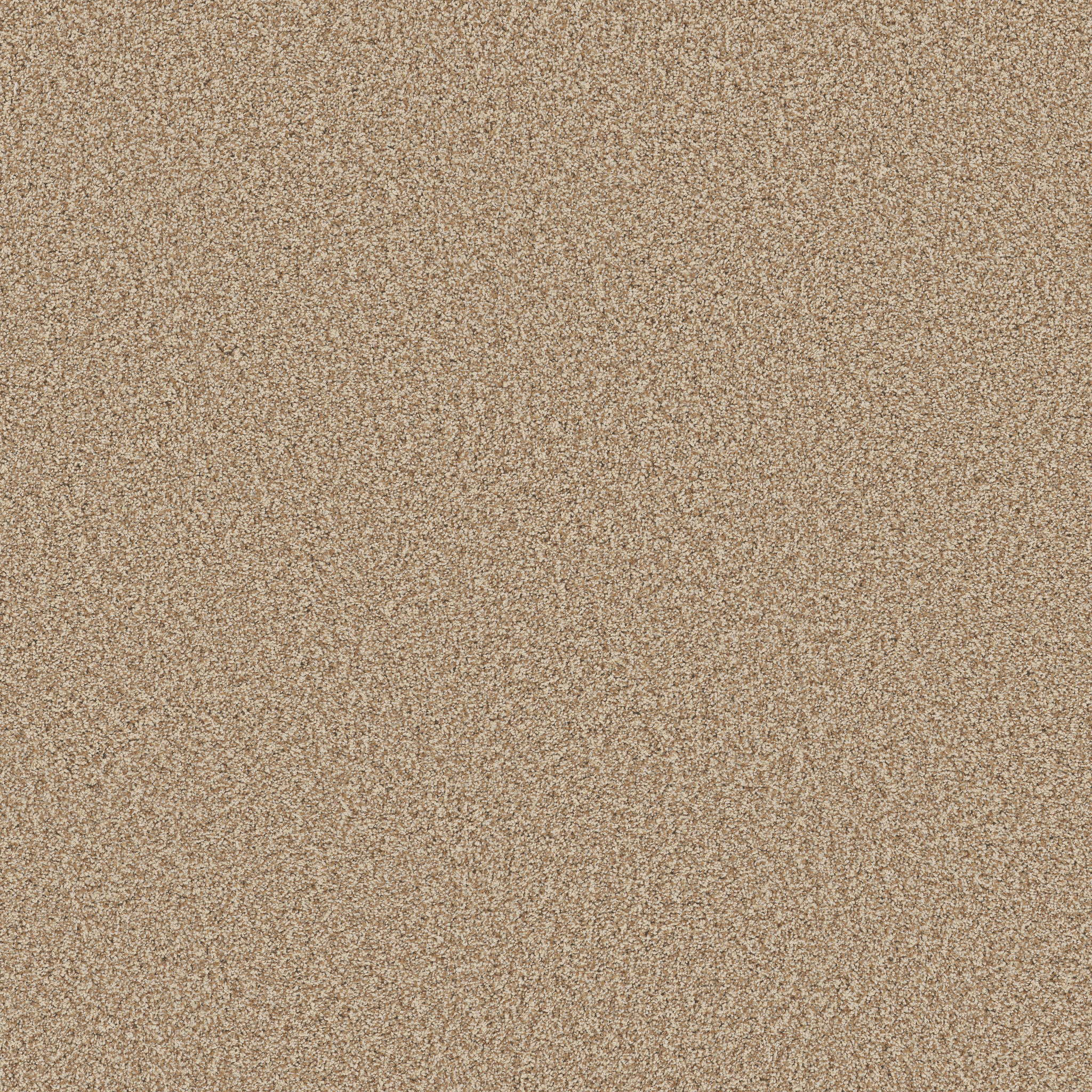 Verdanza-Potters Clay-ZB381_00623