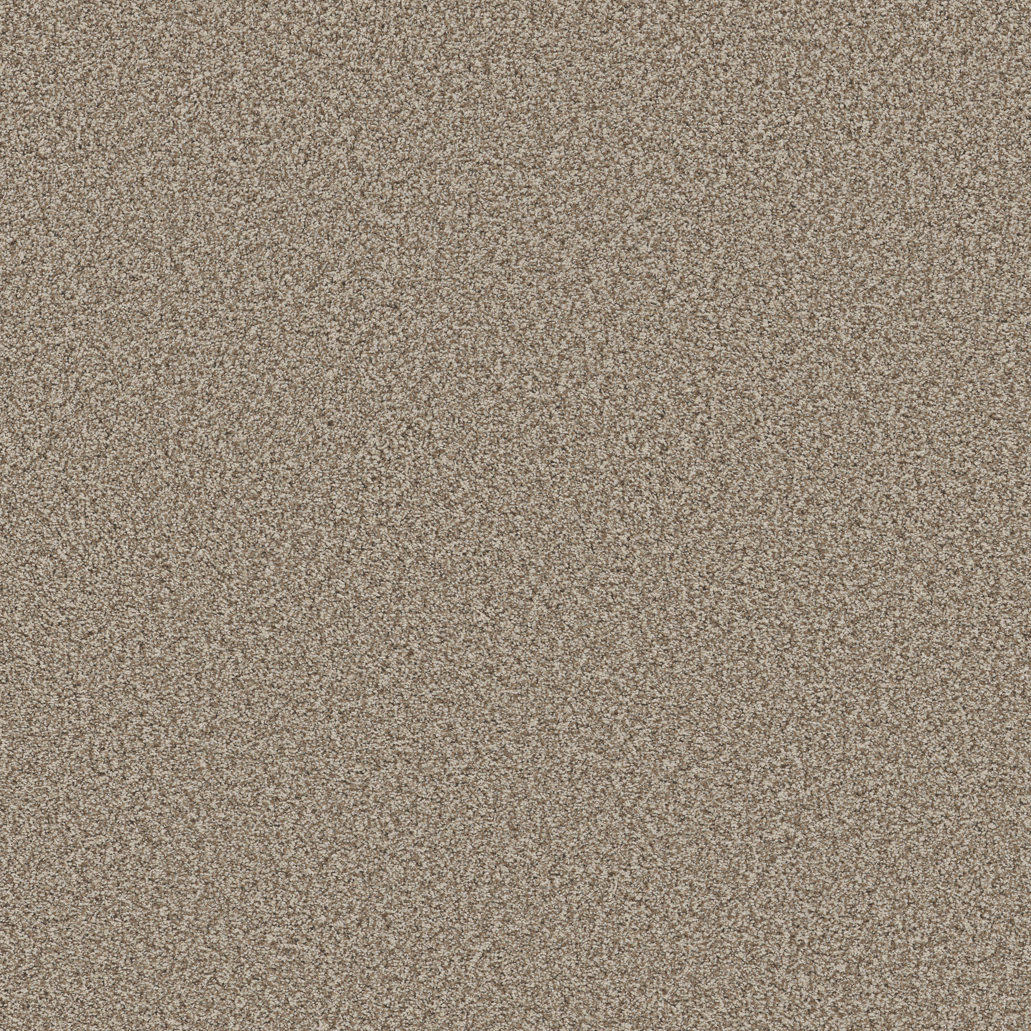 Verdanza-Pashmina-ZB381_00754