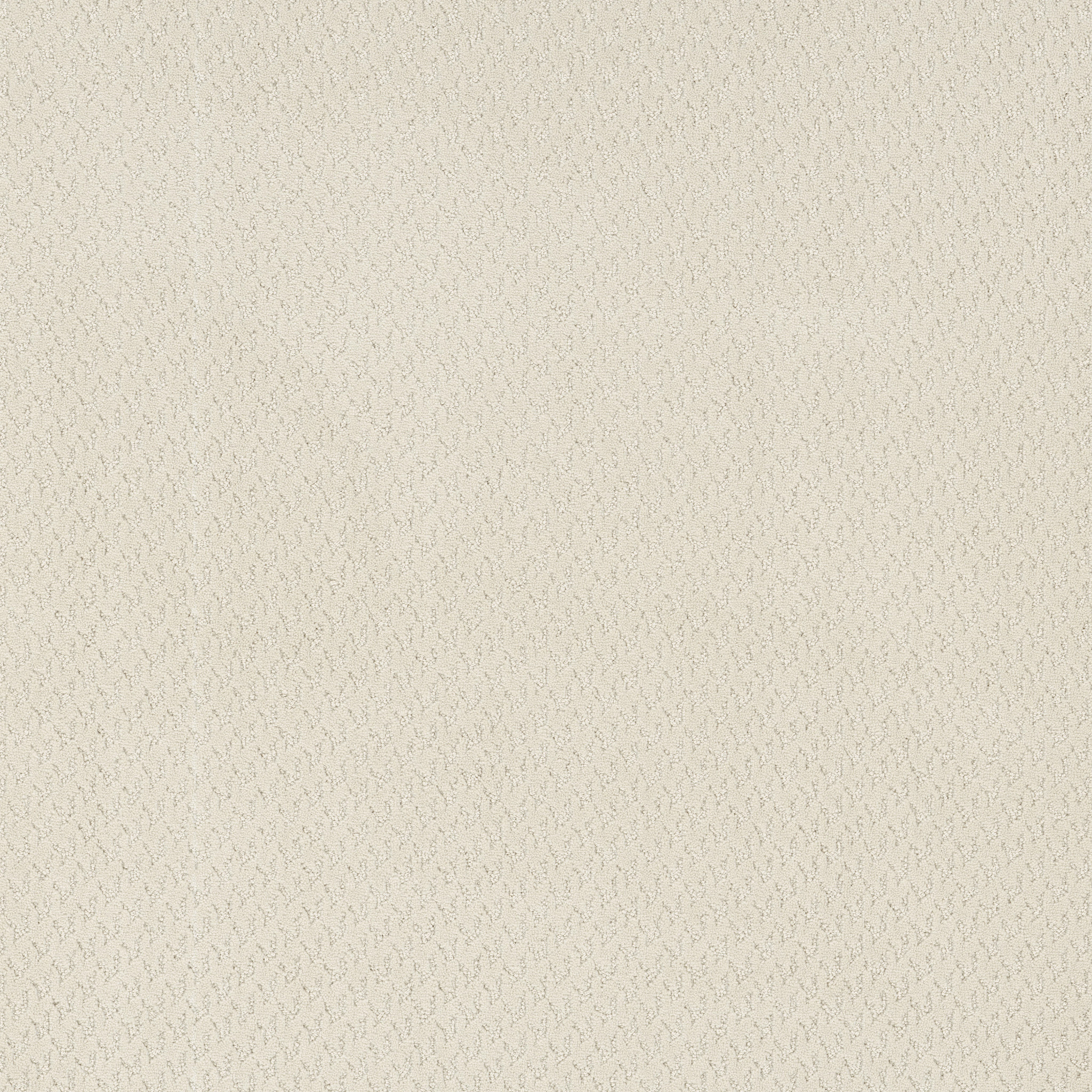 Tranquil Rise-Ski Slope-ZB391_00101