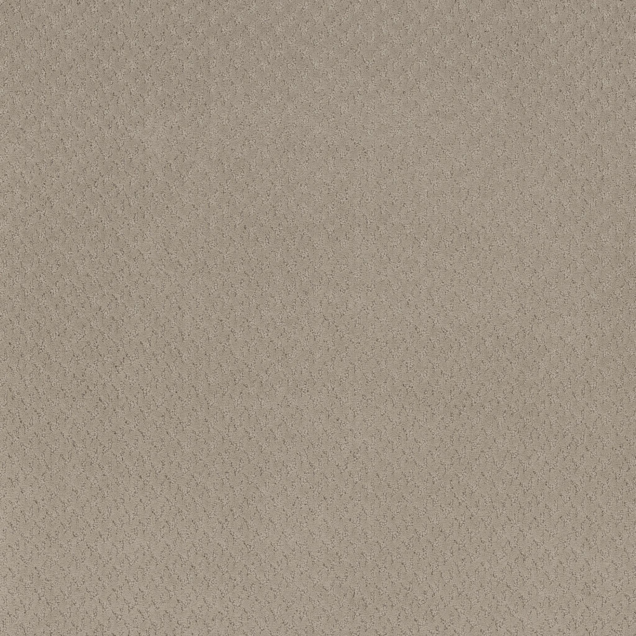 Tranquil Rise-Flax-ZB391_00105