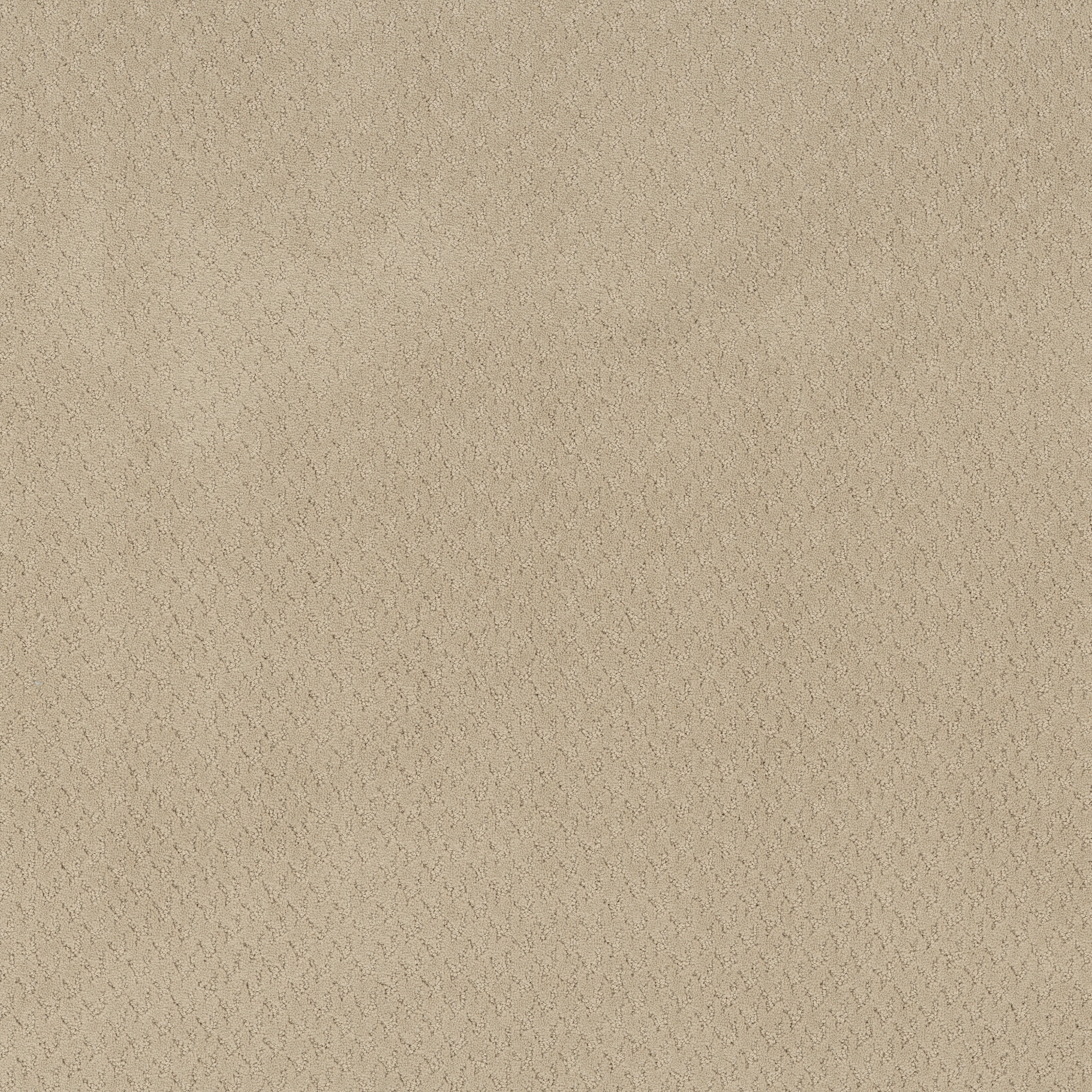 Tranquil Rise-Sand-ZB391_00106