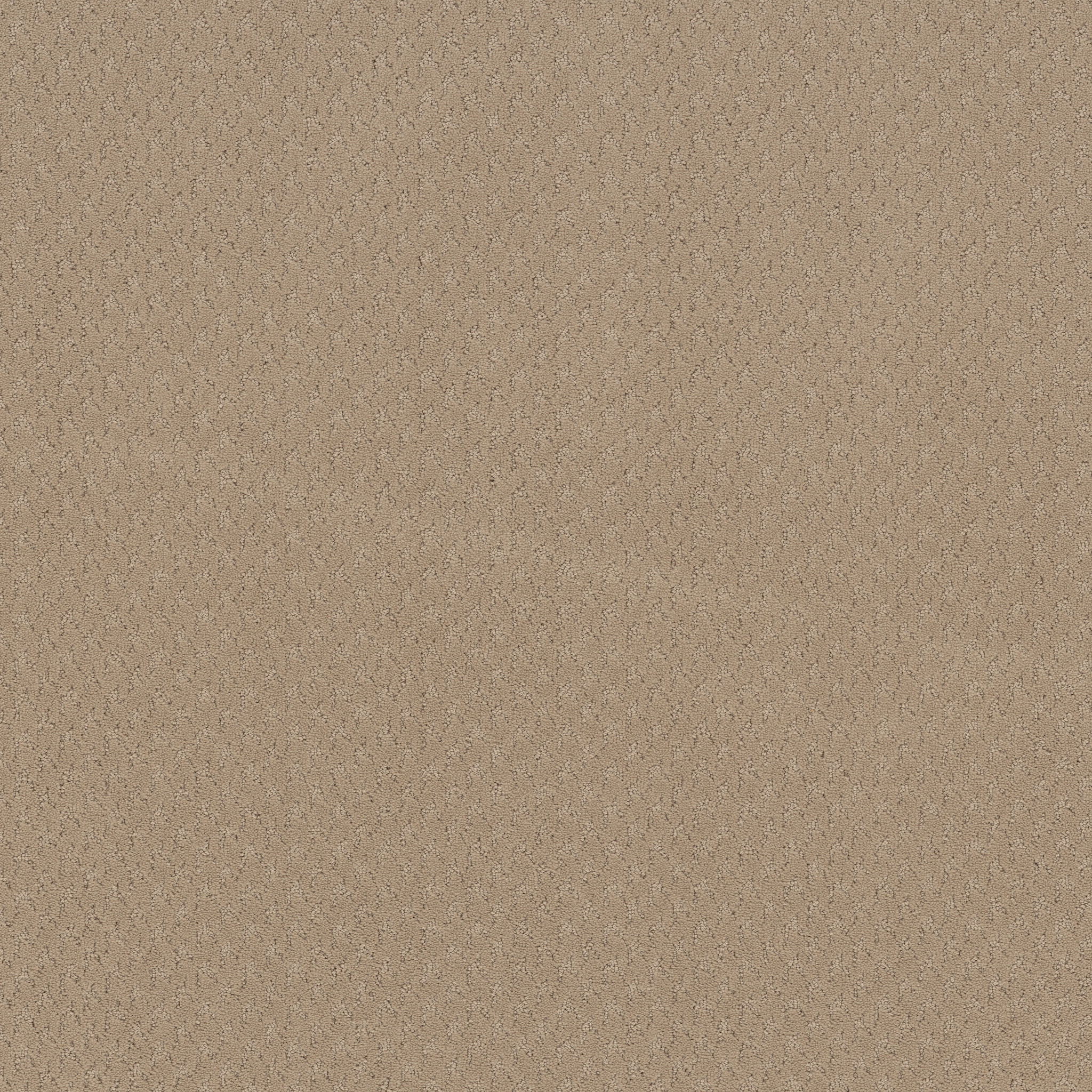 Tranquil Rise-Warm Beige-ZB391_00107