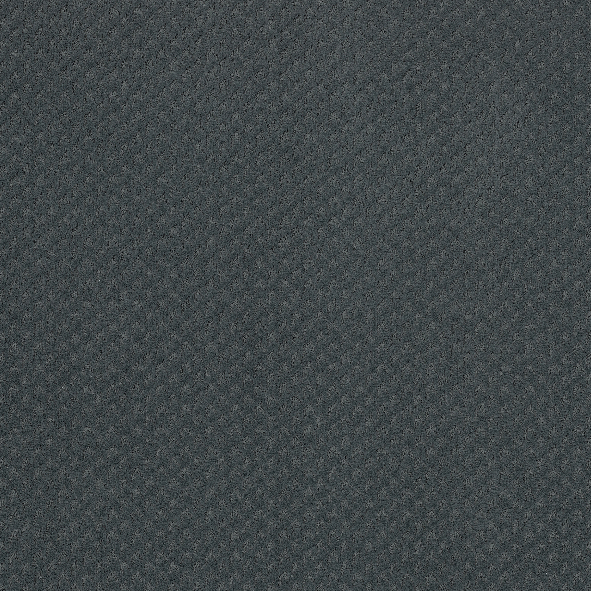 Tranquil Rise-Cape Cod Blue-ZB391_00400