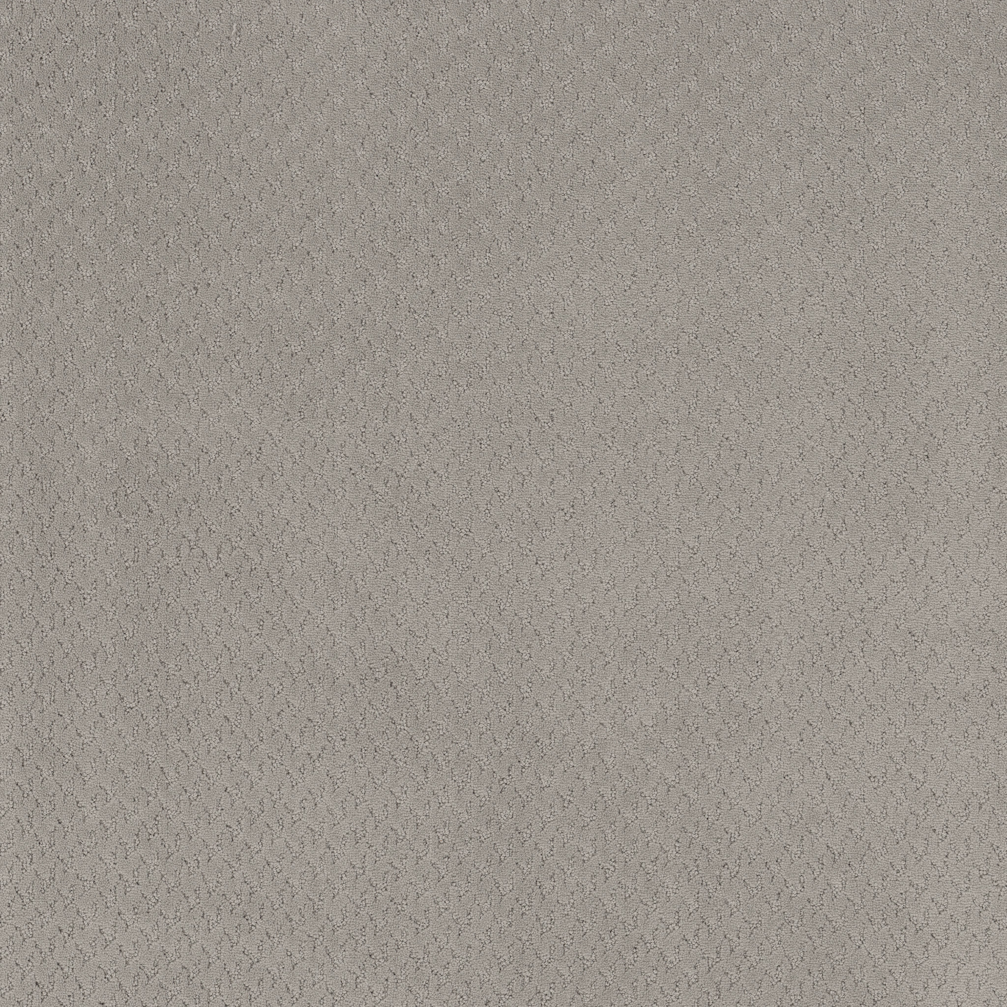 Tranquil Rise-French Grey-ZB391_00500