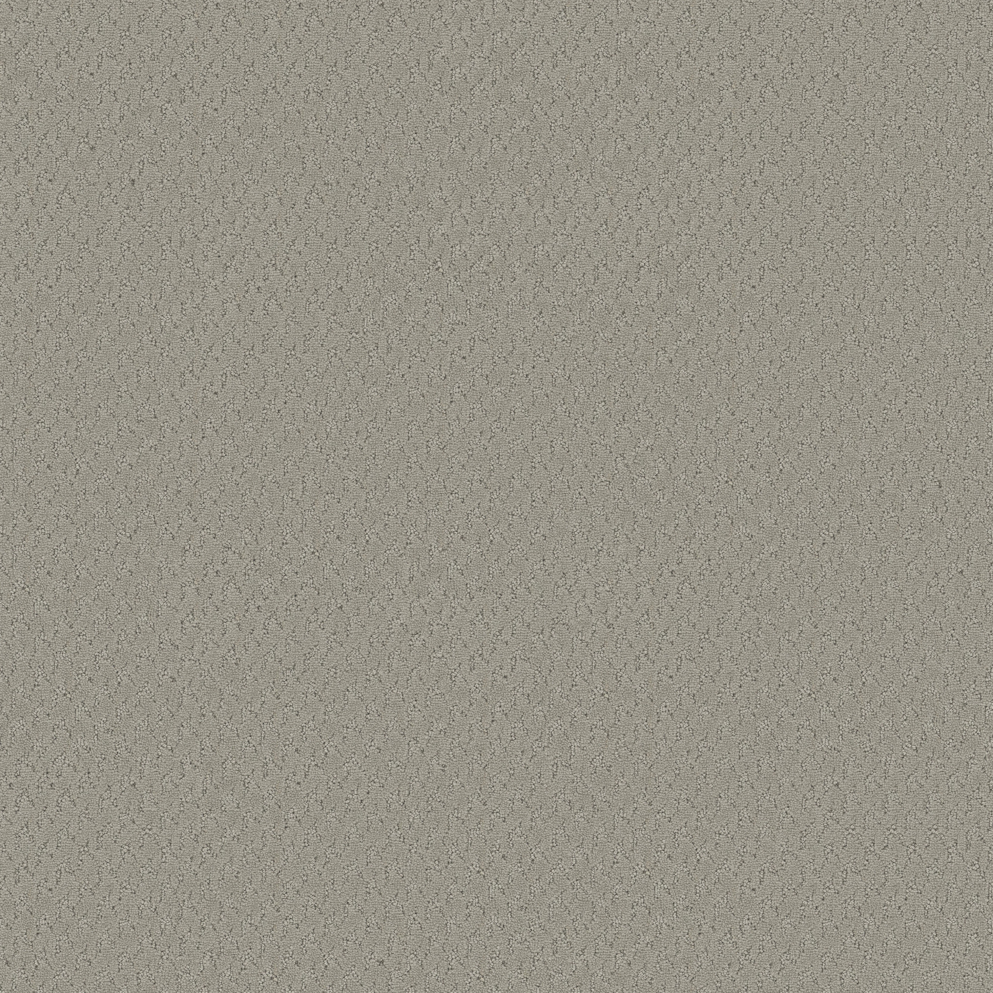 Tranquil Rise-Stone Path-ZB391_00501