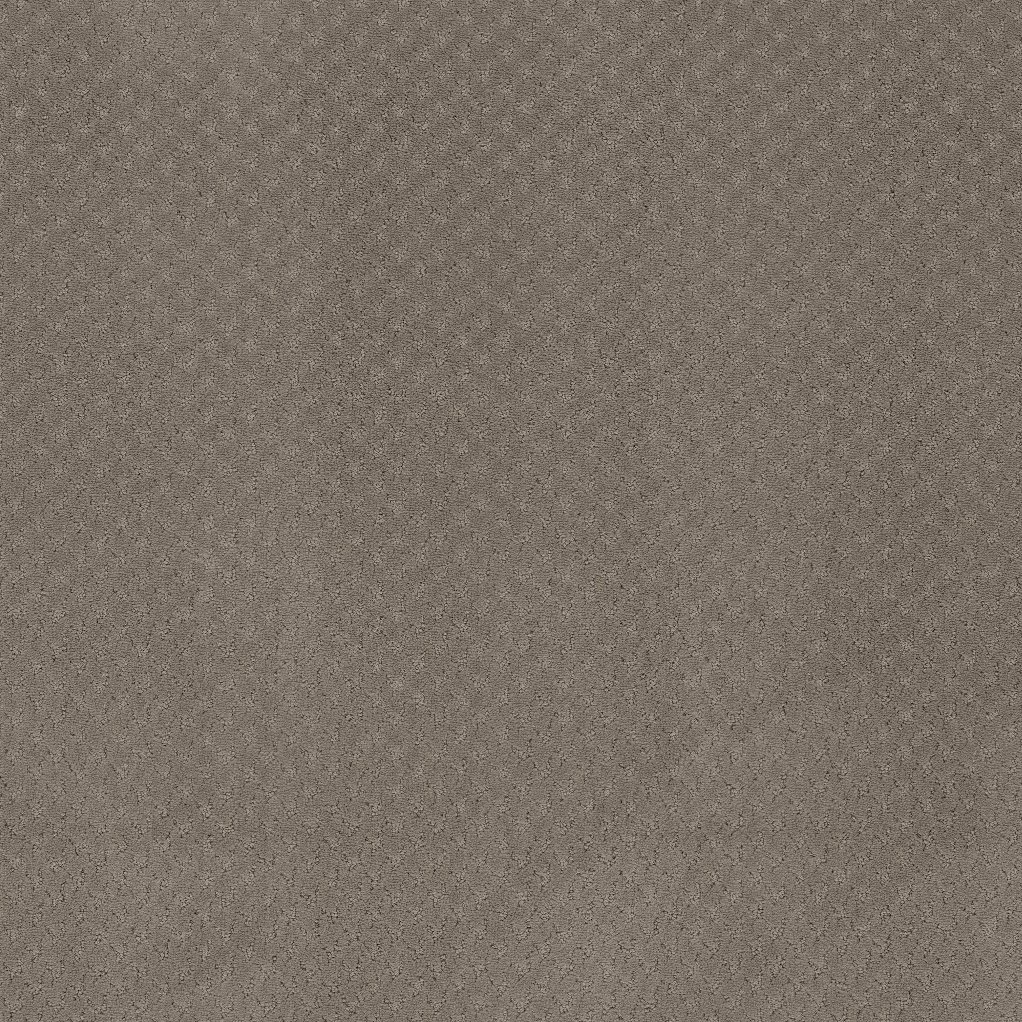 Tranquil Rise-Taupe-ZB391_00701