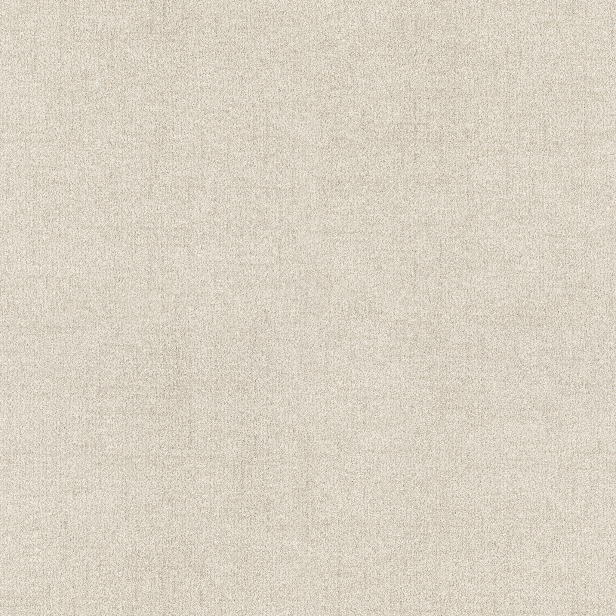 Hushed Horizon - Oat Milk - ZB392_00101