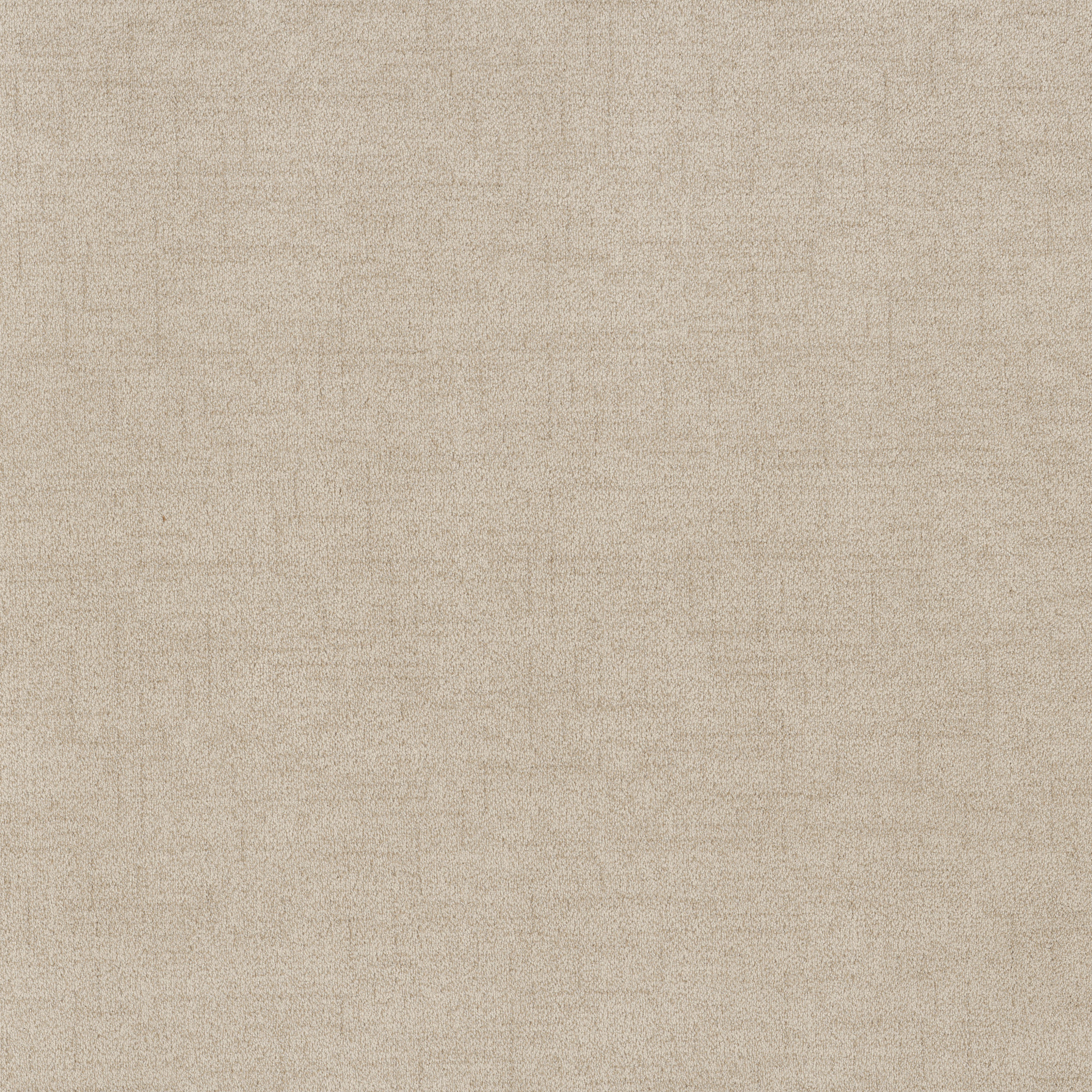 Hushed Horizon-Parchment-ZB392_00102