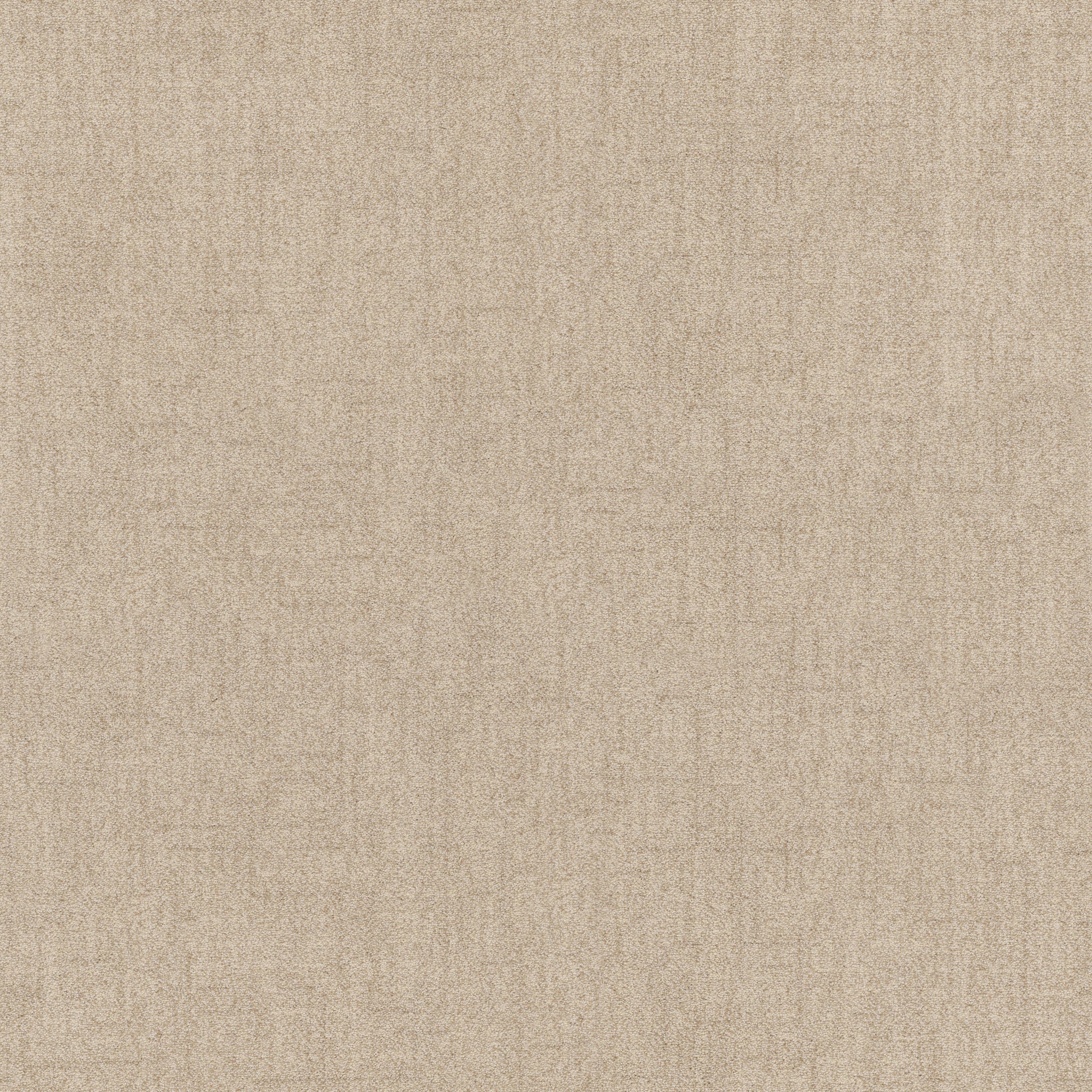 Hushed Horizon-Ecru-ZB392_00103