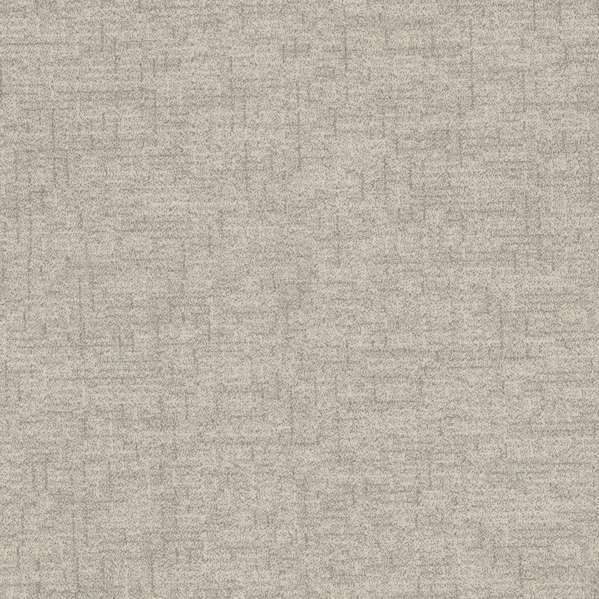 Hushed Horizon-Arctic Hare-ZB392_00104