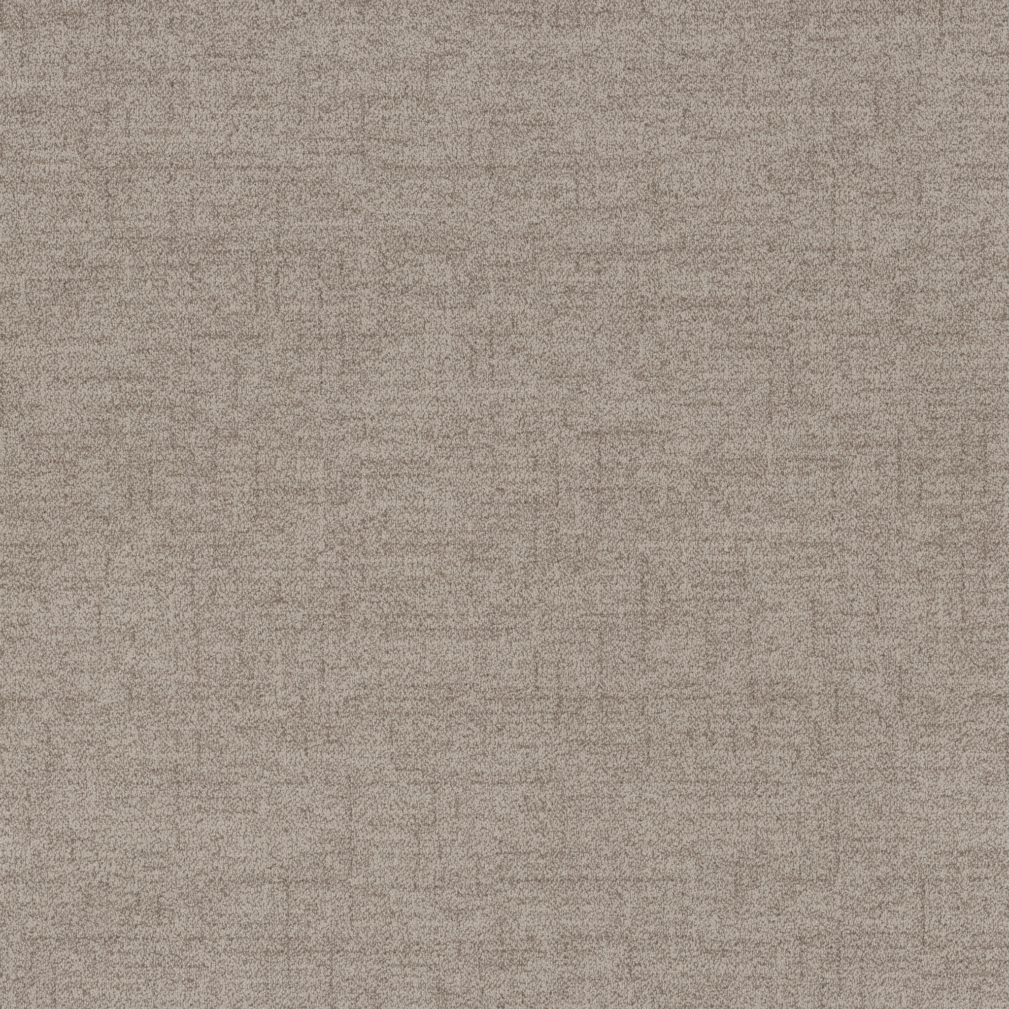 Hushed Horizon-Mushroom-ZB392_00106