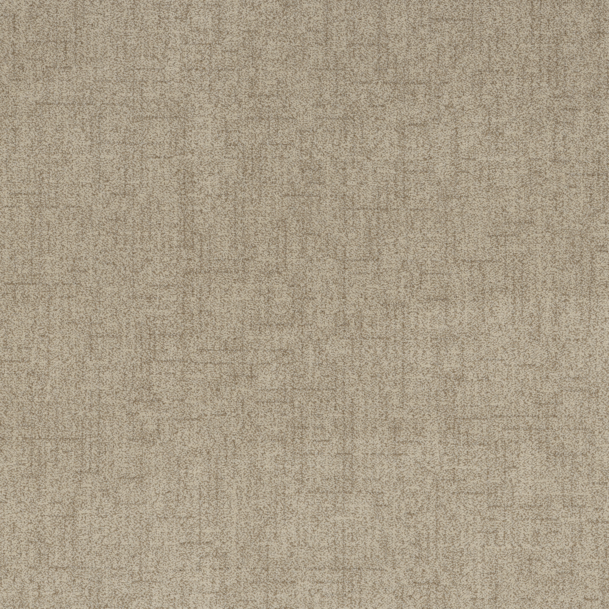 Hushed Horizon-Soft Tan-ZB392_00108