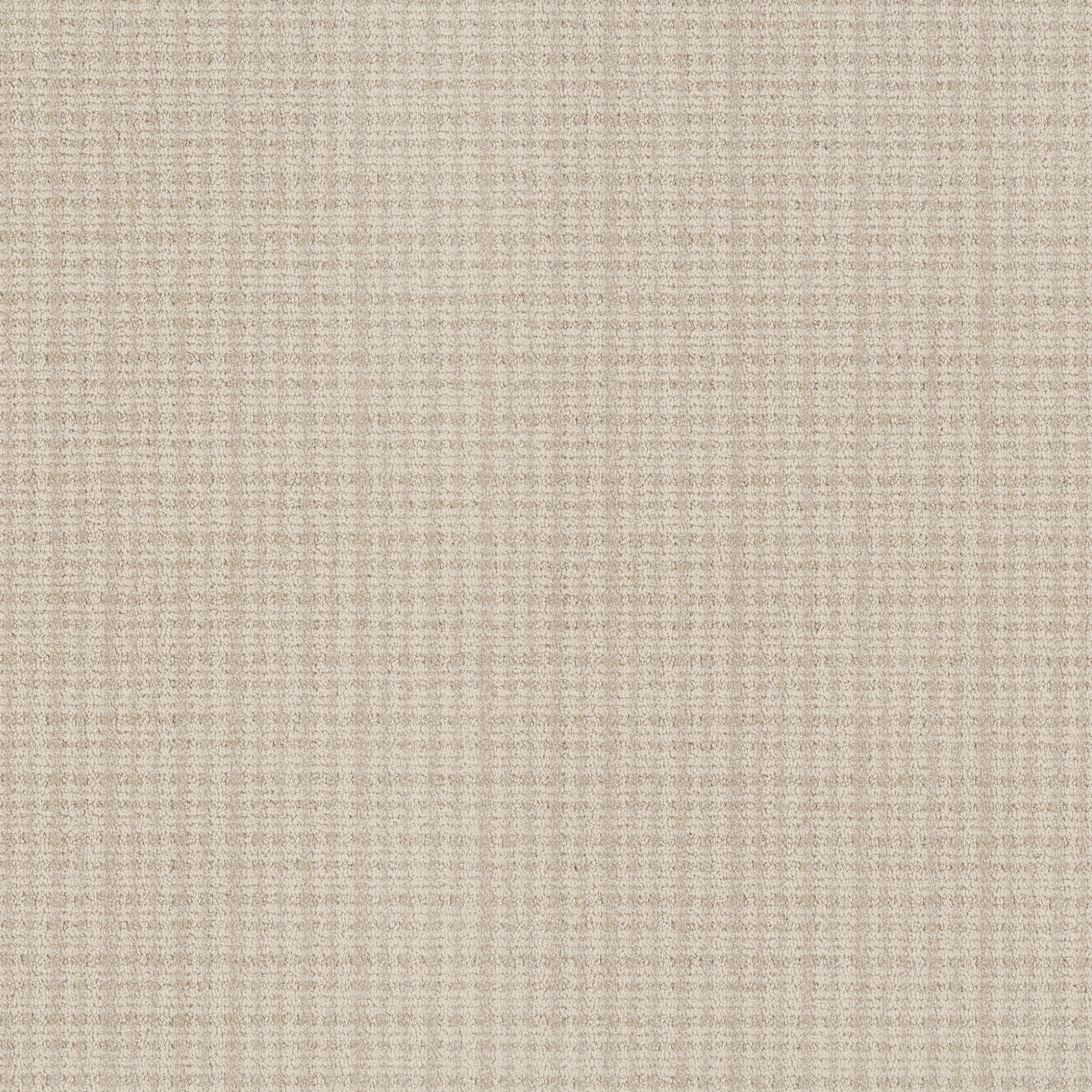 Echo Vale-Parchment-ZB393_00102