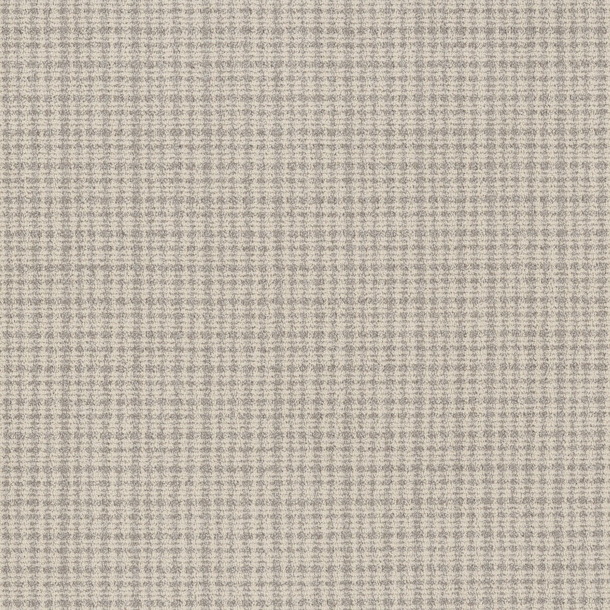 Echo Vale-Arctic Hare-ZB393_00104