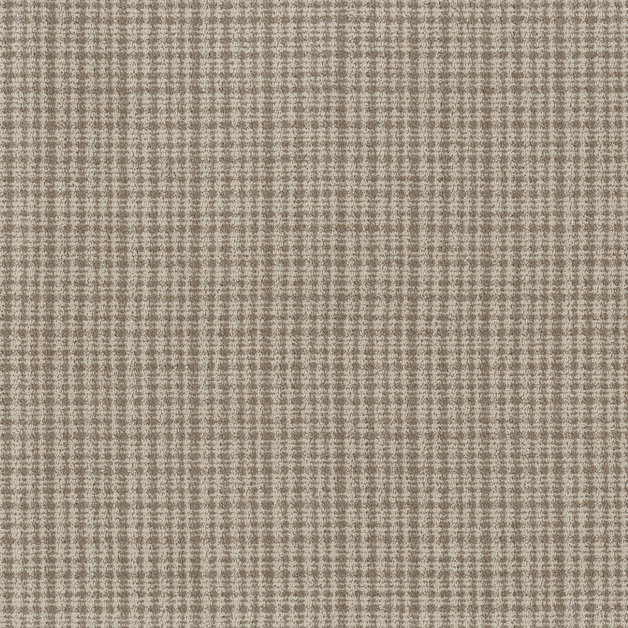 Echo Vale-Barn Owl-ZB393_00105