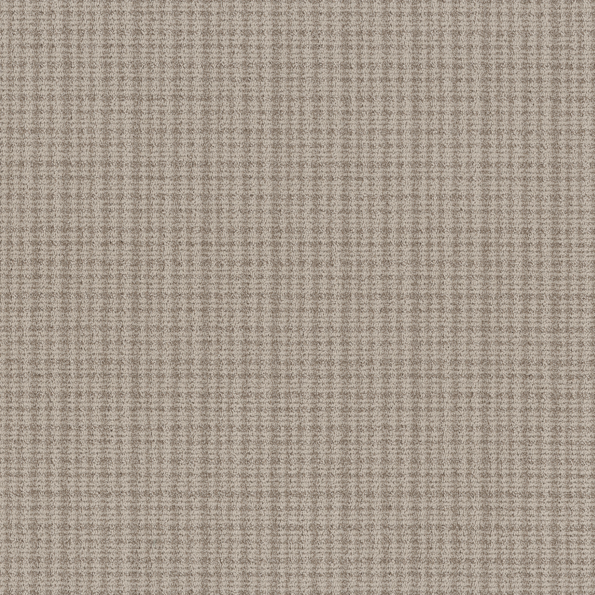 Echo Vale-Mushroom-ZB393_00106